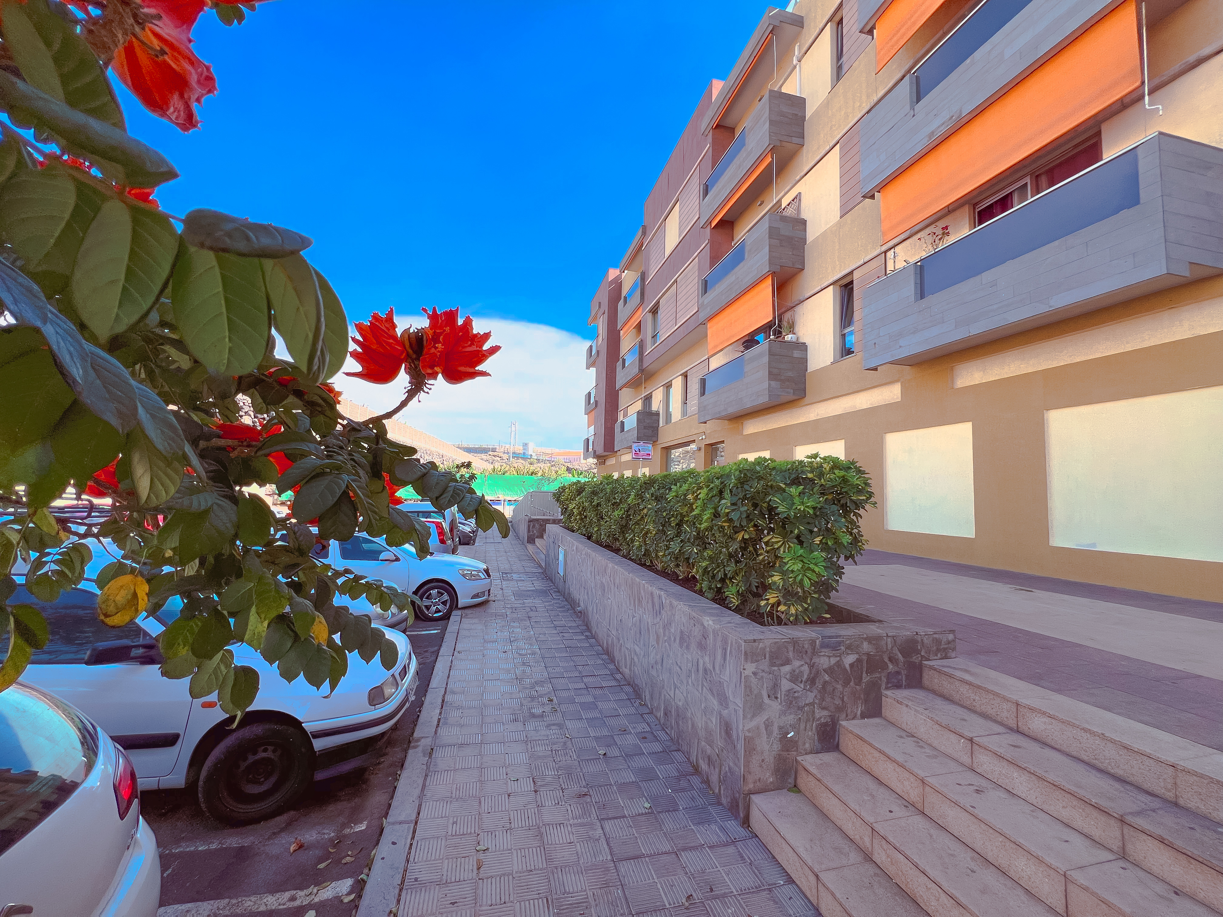 Beautiful Apartment in Alcala Center