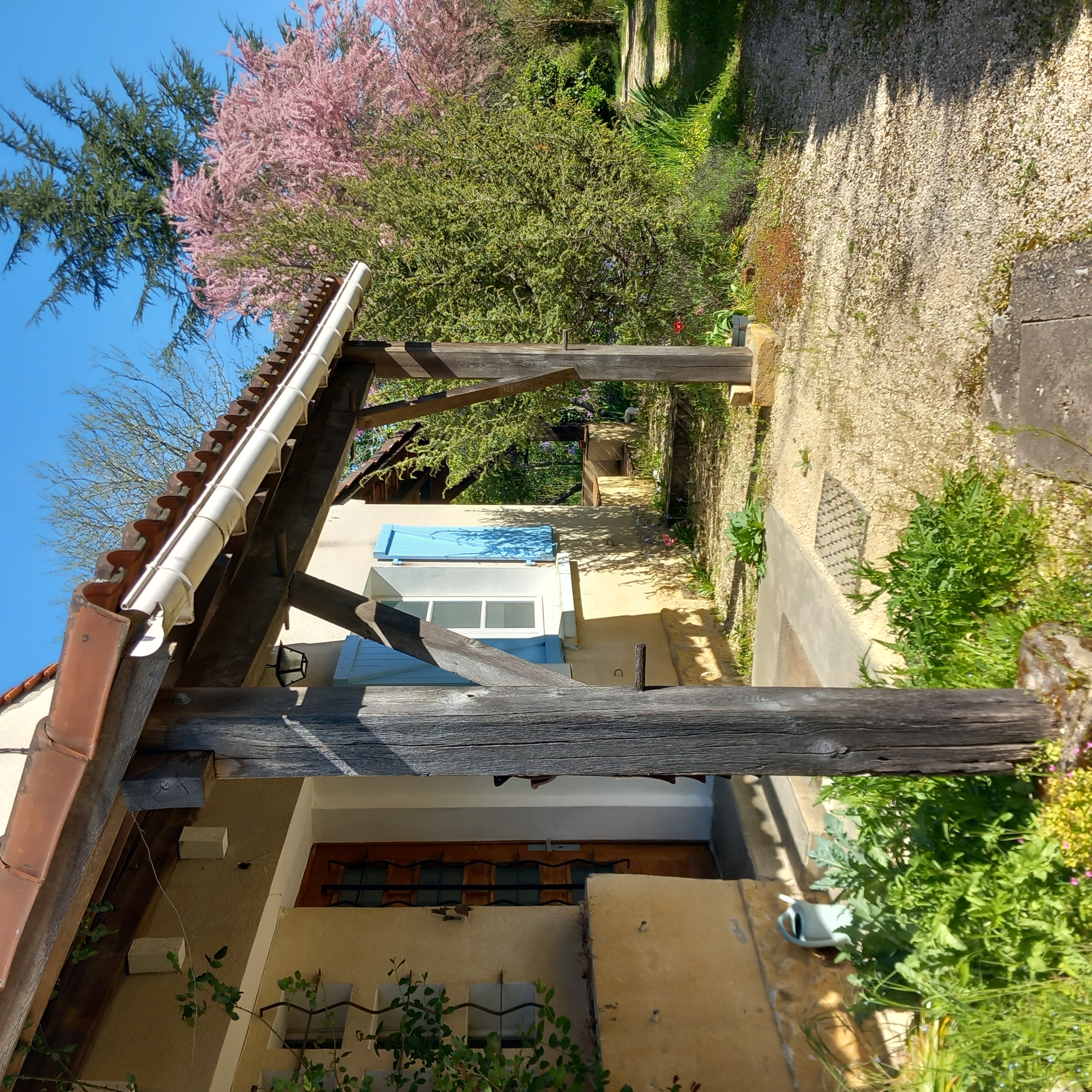 1960s house: Old vines