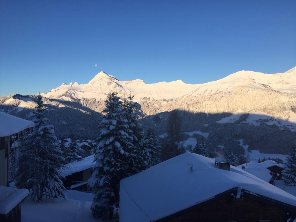 Apartment View of the Aravis, foot of the slopes