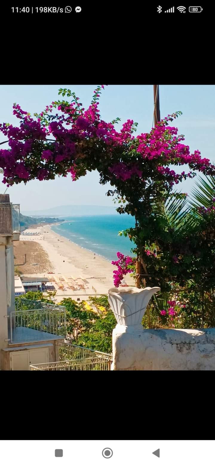 House overlooking Piazza: Old Town 500m  from the sea