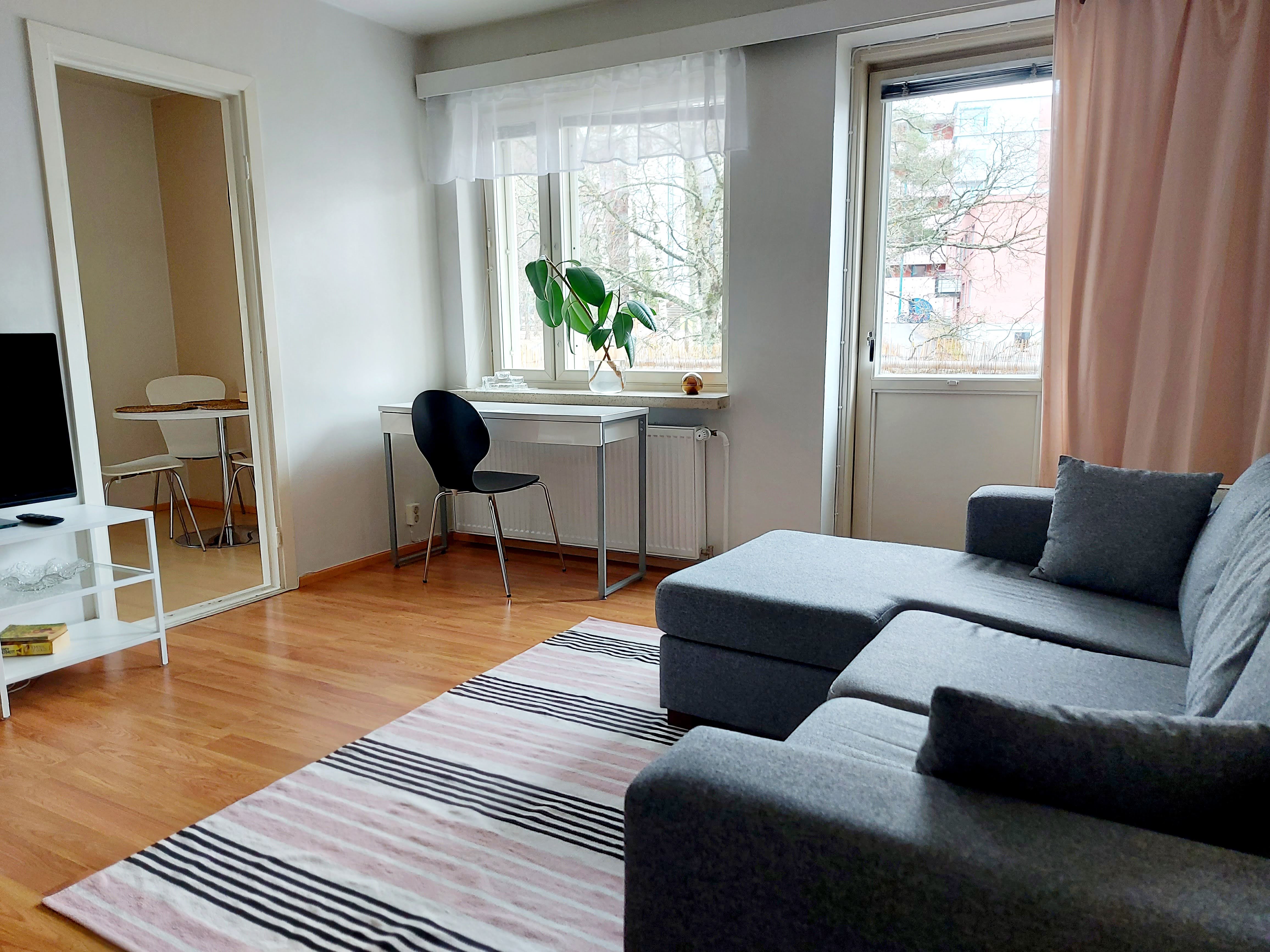 Spacious studio apartment near the city center