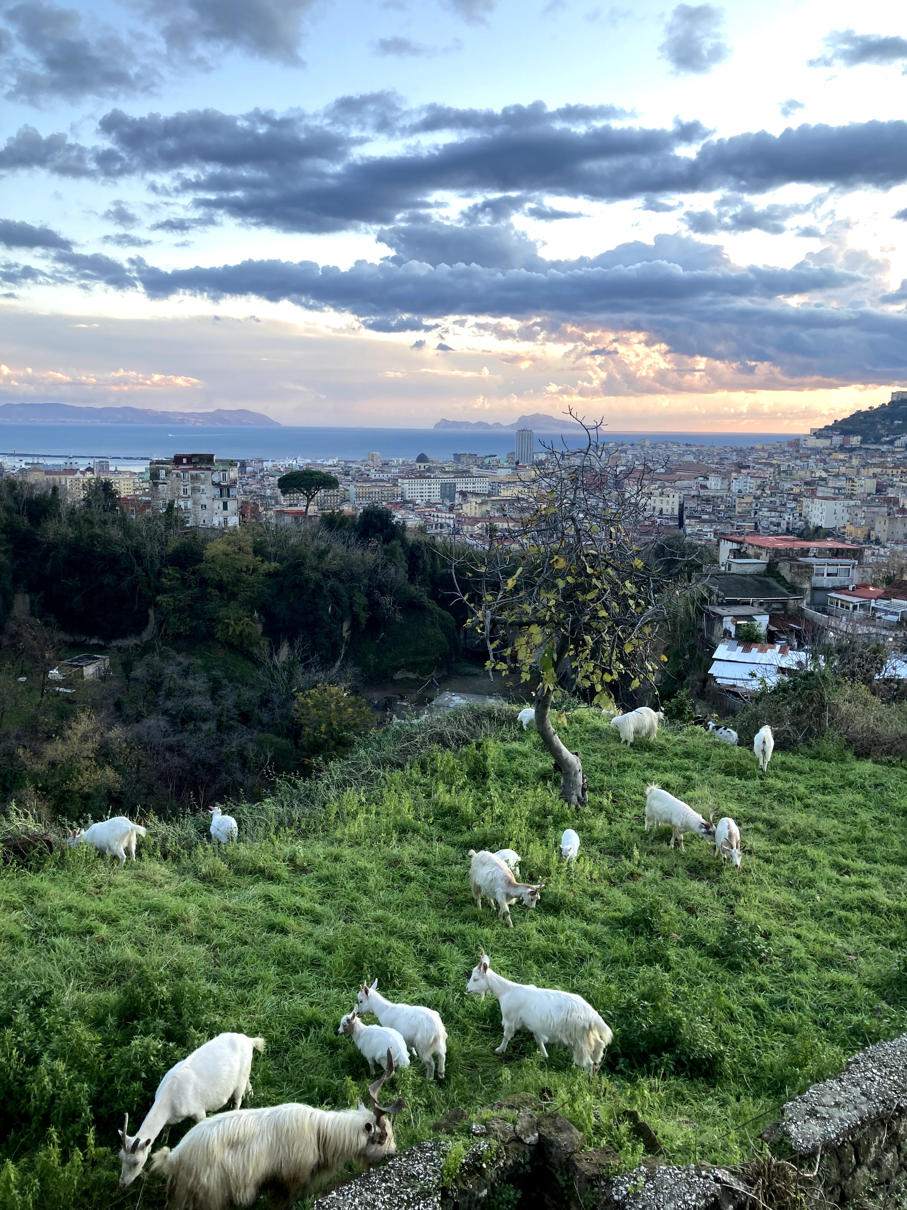 PuntoPanoramico in San Carlo all'Arena, Naples