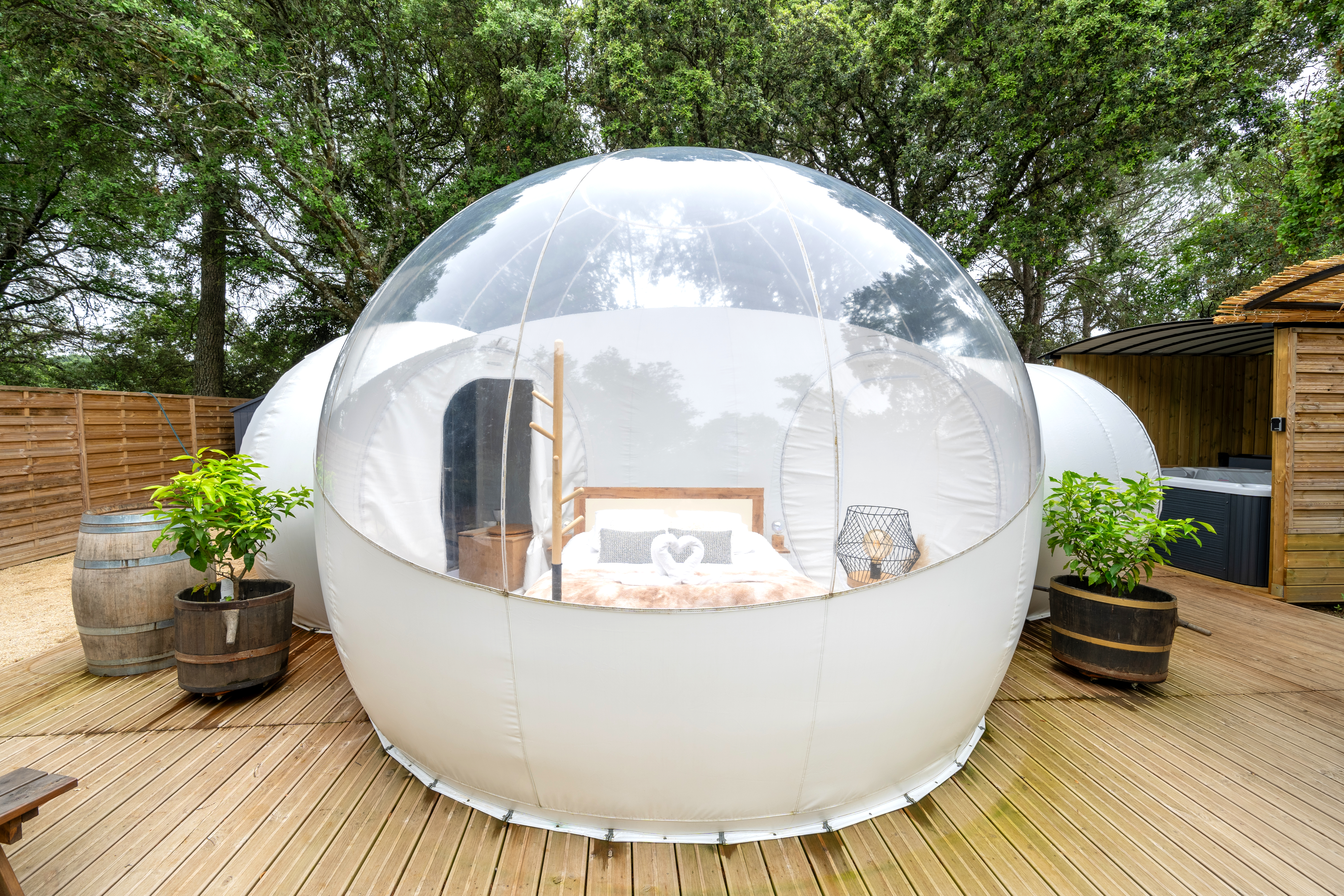 Bubble in the middle of the forest - Night bubble
