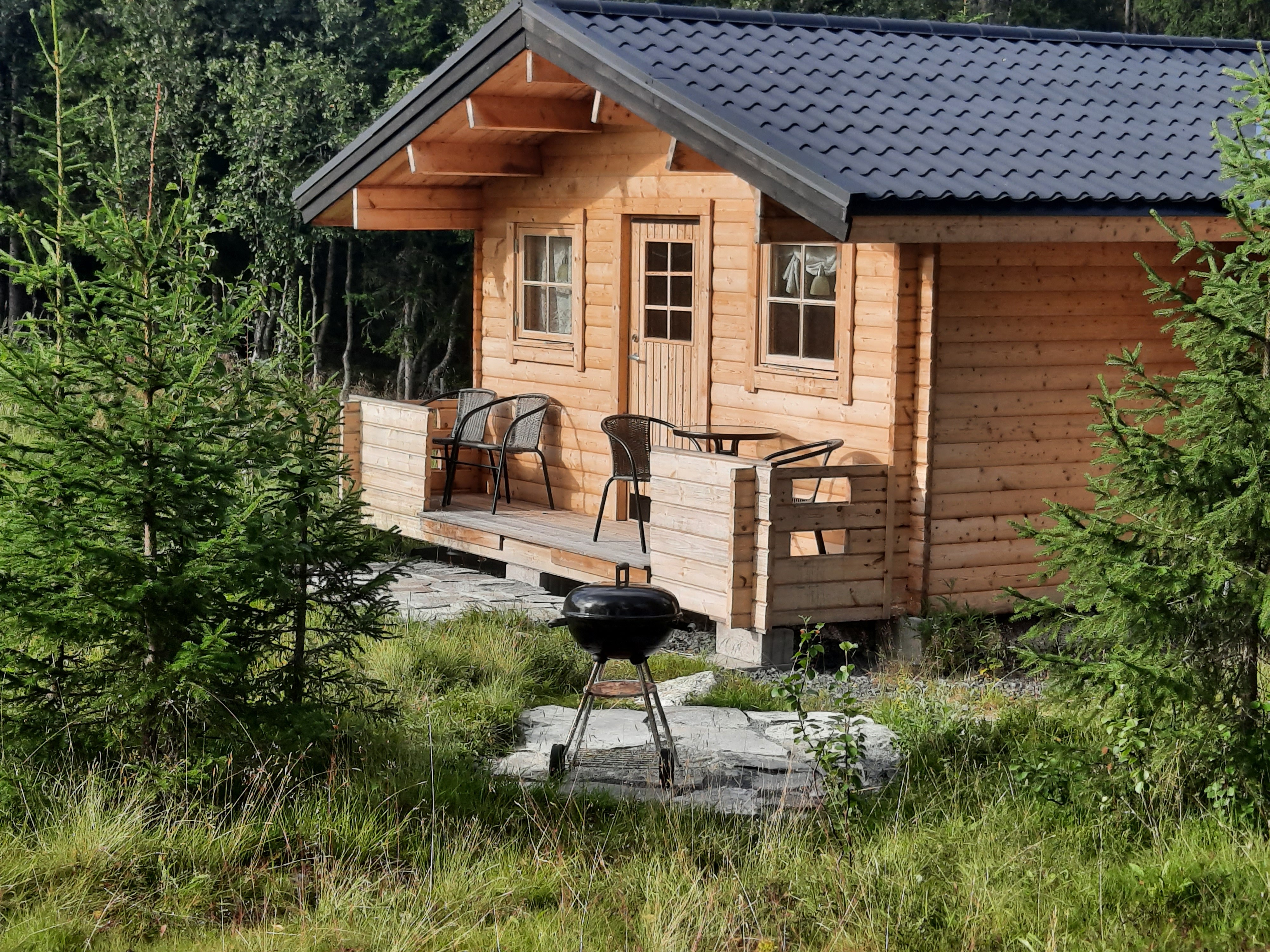 Live neighbours with Alpackagården in Grövelsjön