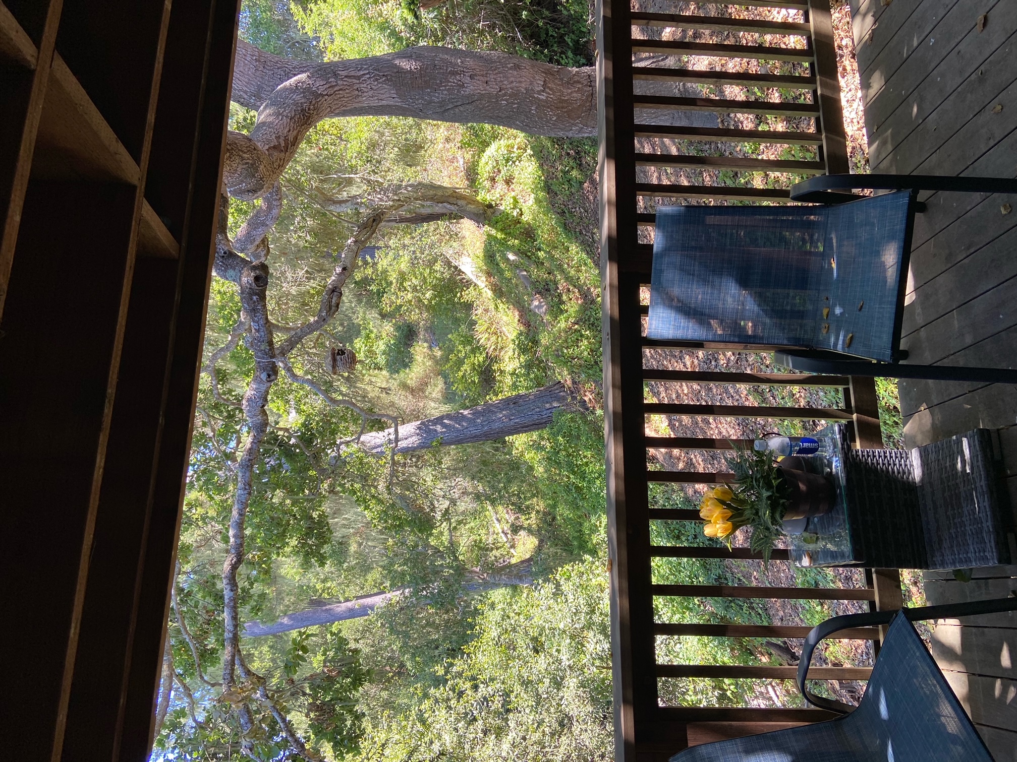 Cambria Treehouse Retreat ~ Scarecrow Fest October