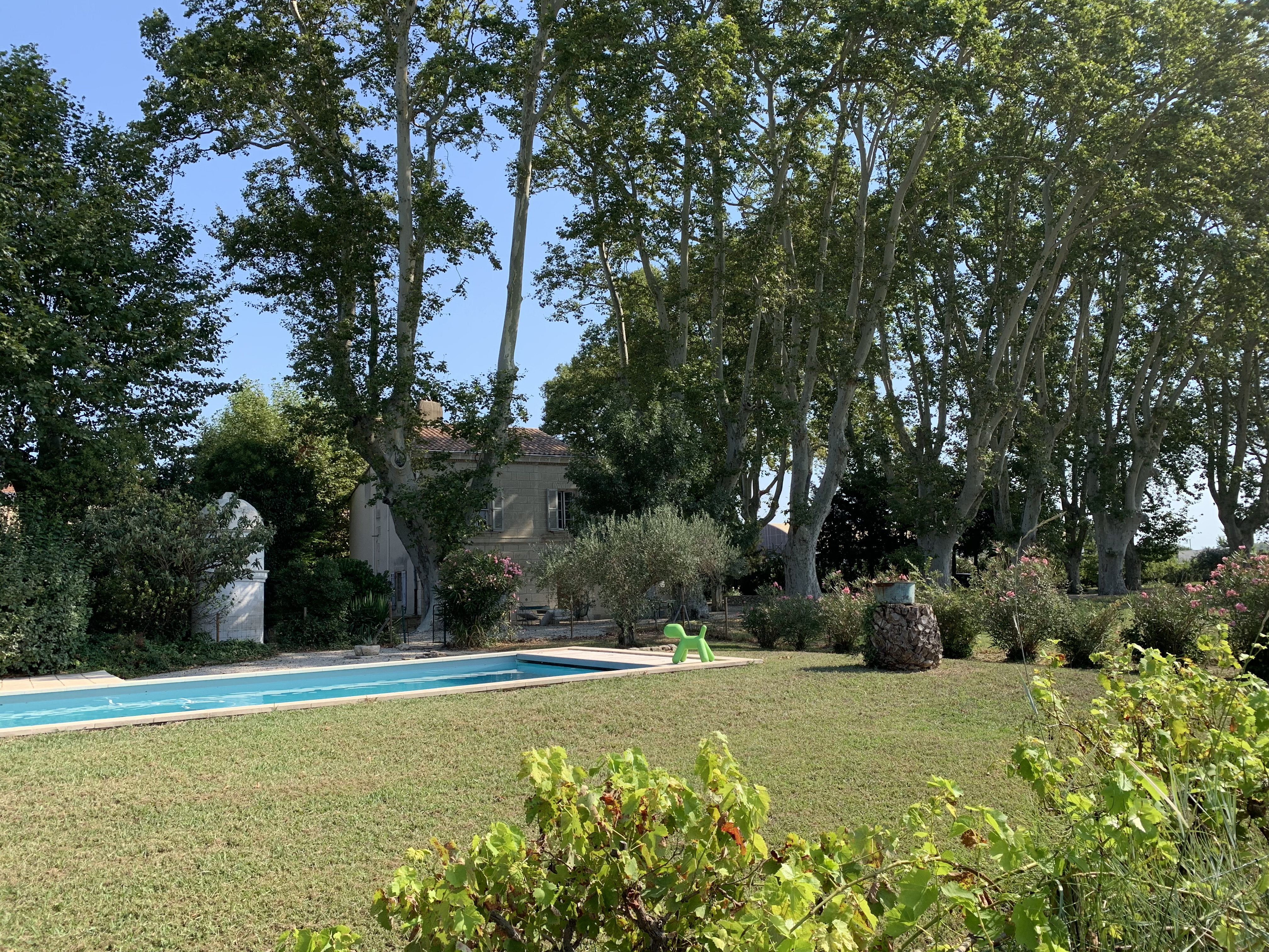 Mas du 18e with swimming pool