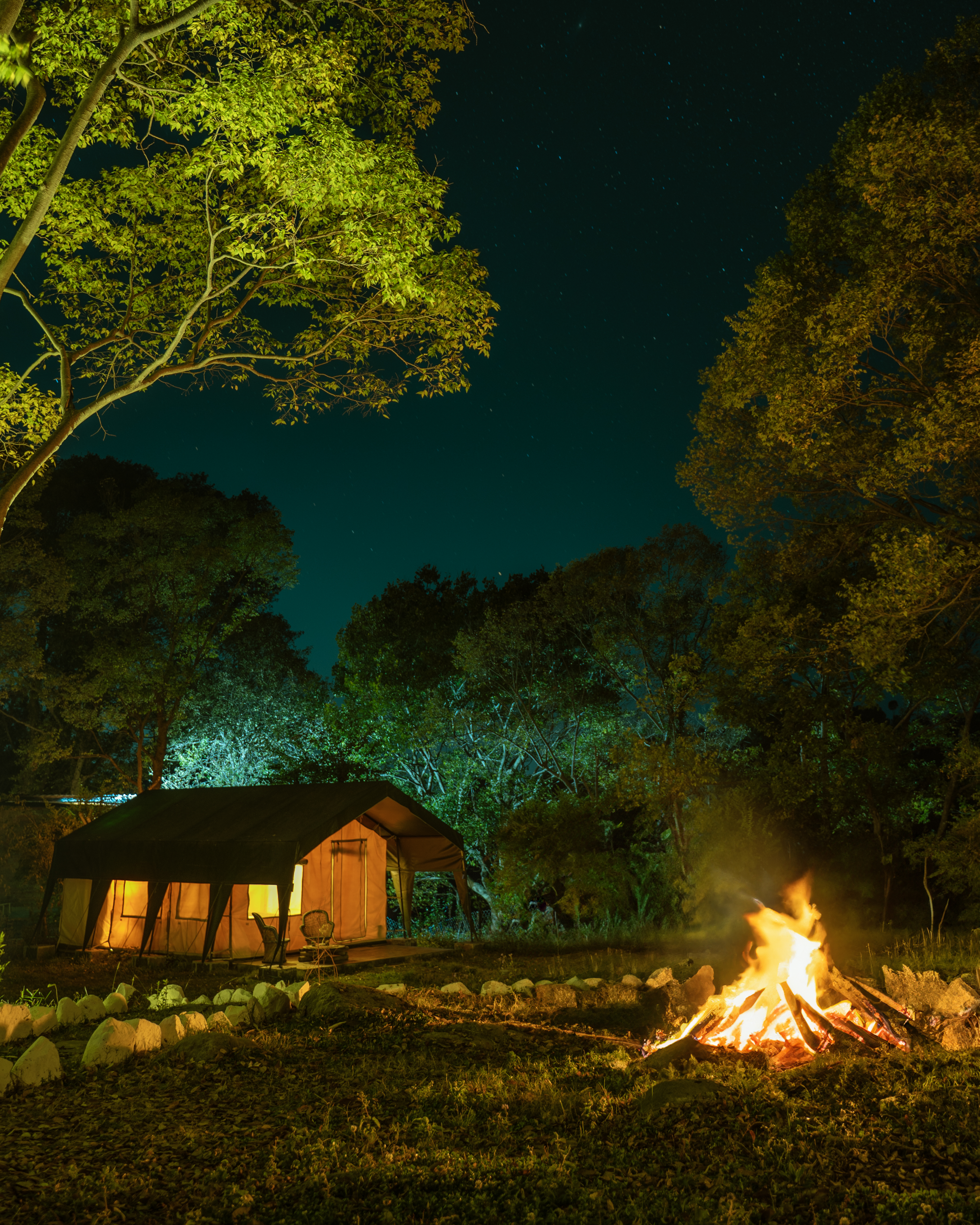 H2H Bir
| Nature Camps
