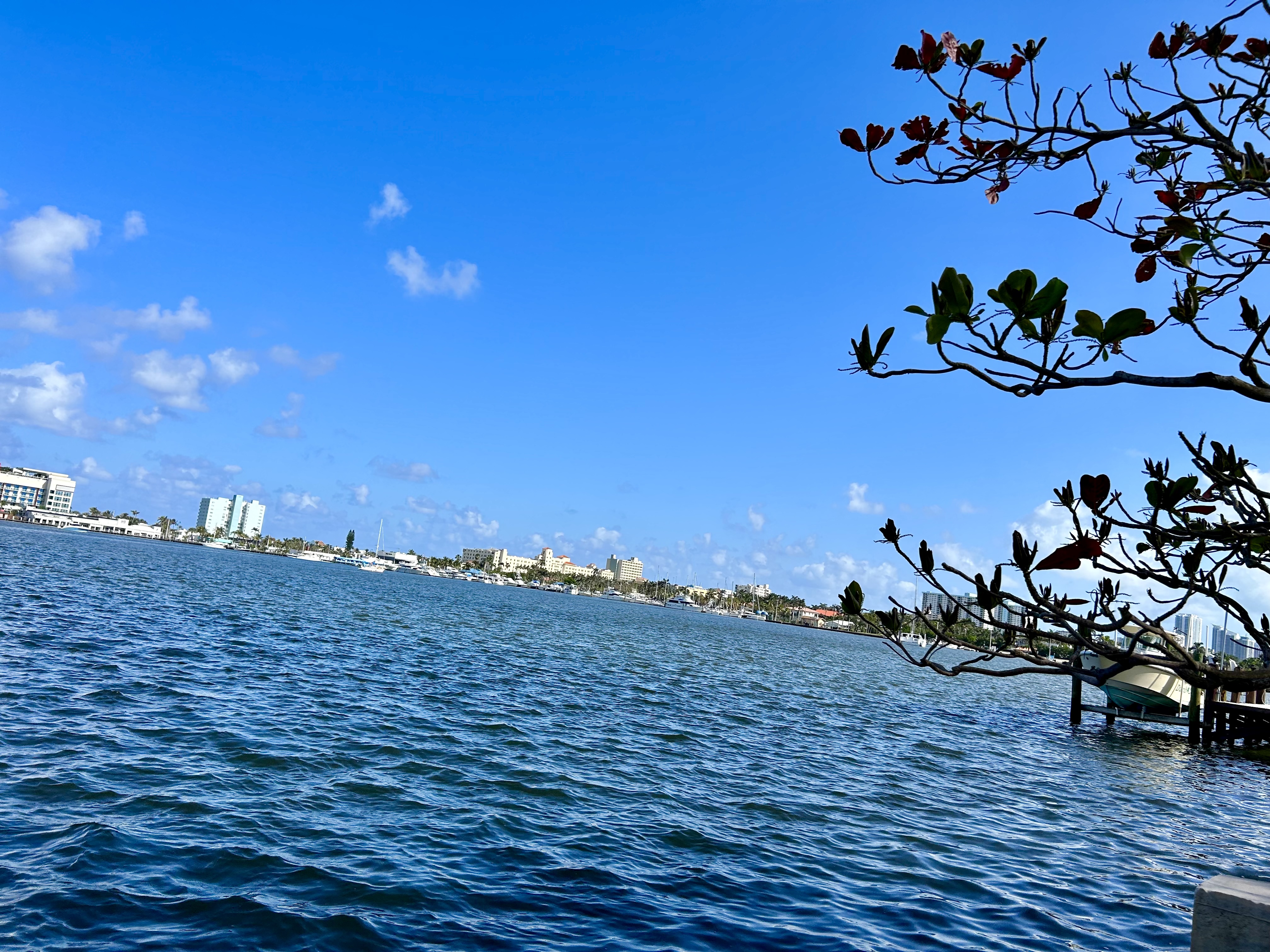 Walk 2 BEACH! 50% OFF Monthly 32Days+ Snowbirds! in Hollywood, Broward County
