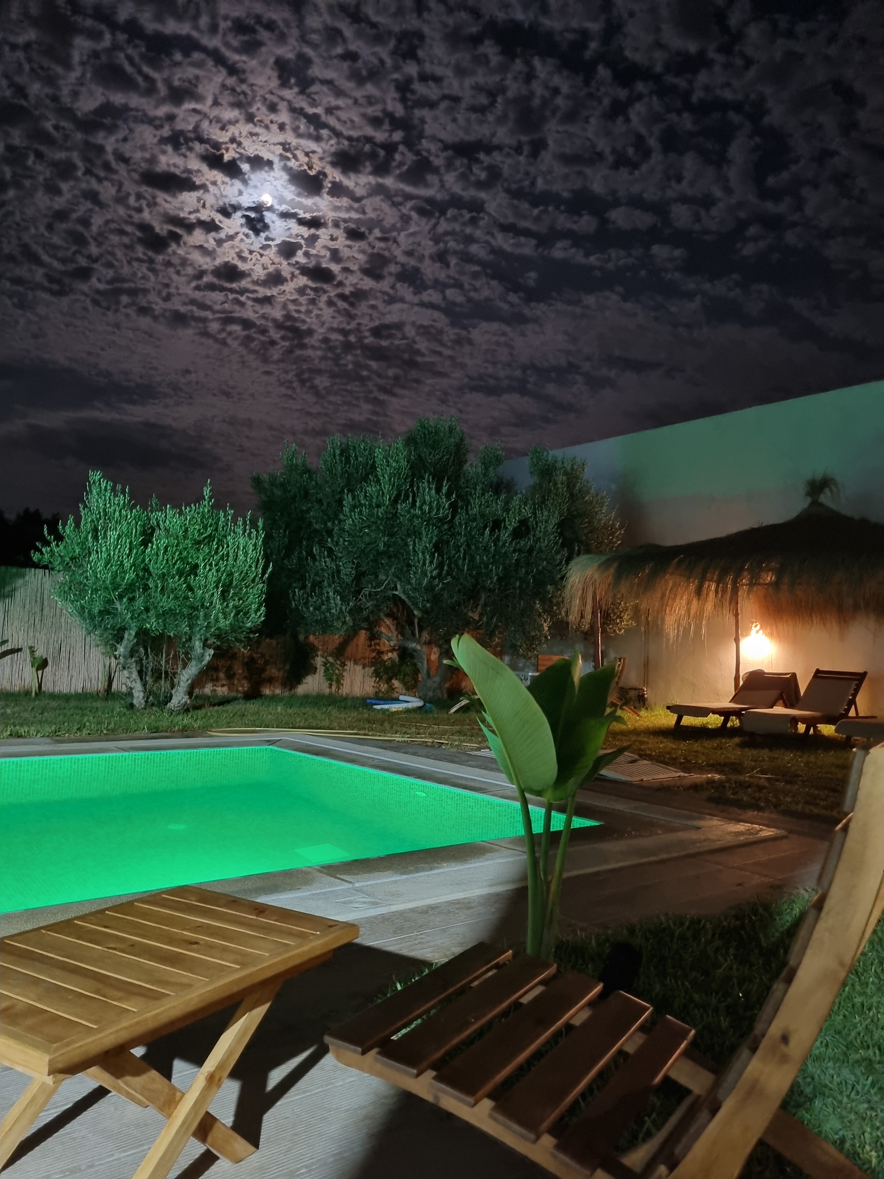 Olive Studio: Luxury, Sun, and Private Pool