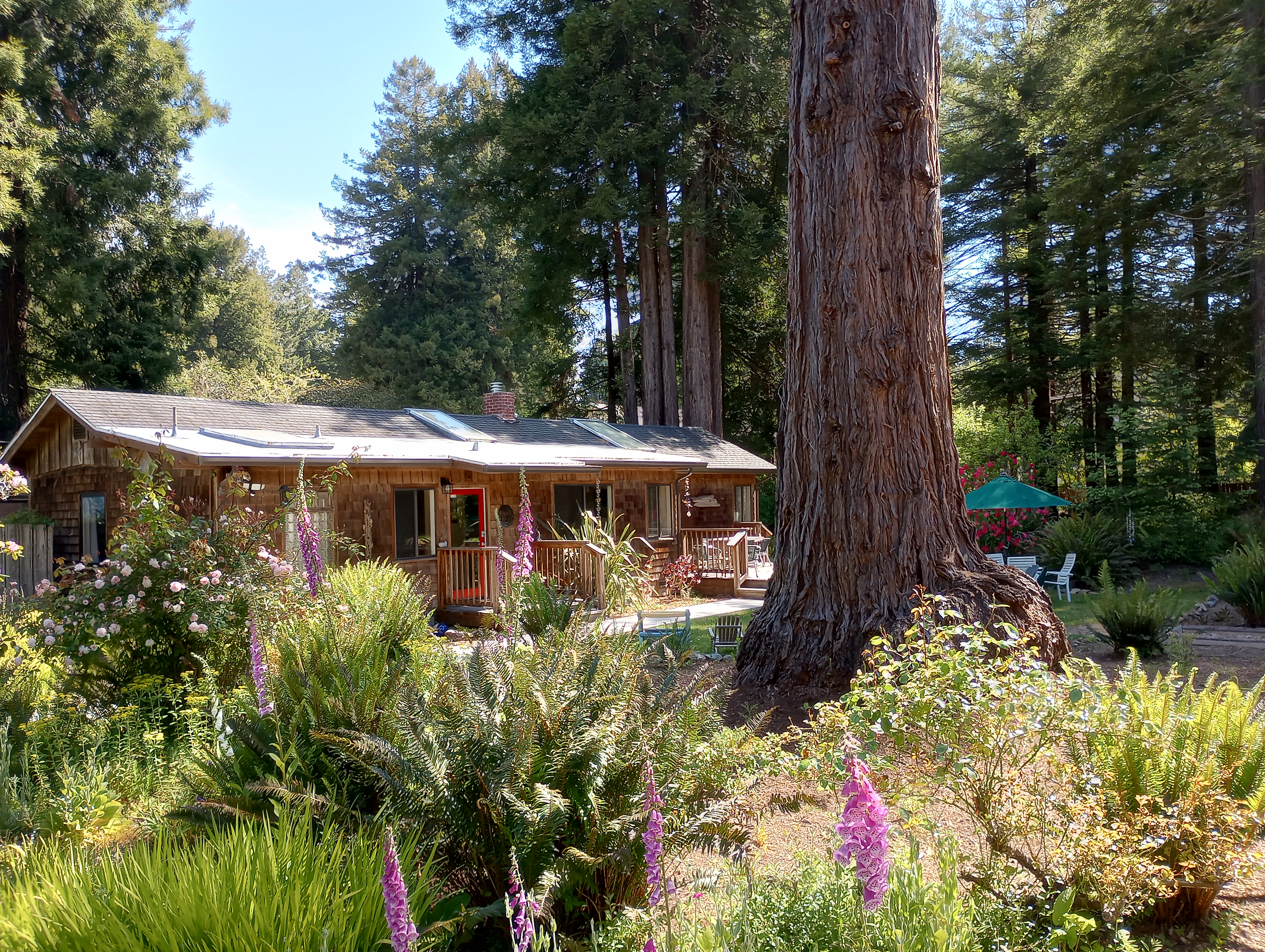 Tranquillum~ Great Updated Cabin on 2 Fenced Acres