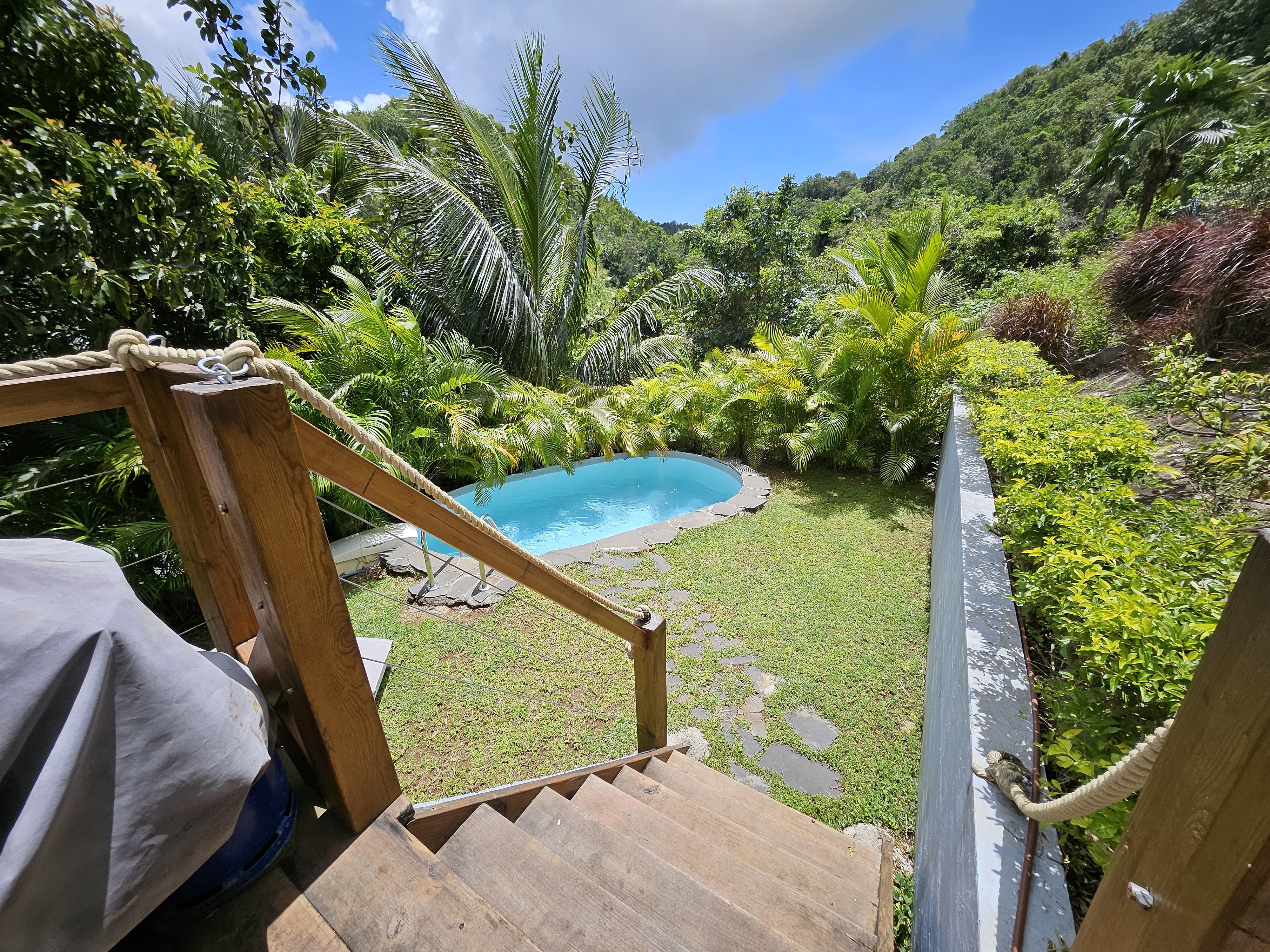secret garden in the forest/intimate cocoon