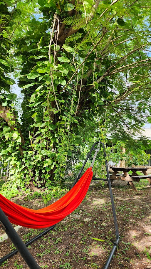 San Ignacio, Belize, The Garden House in Cayo, Belize