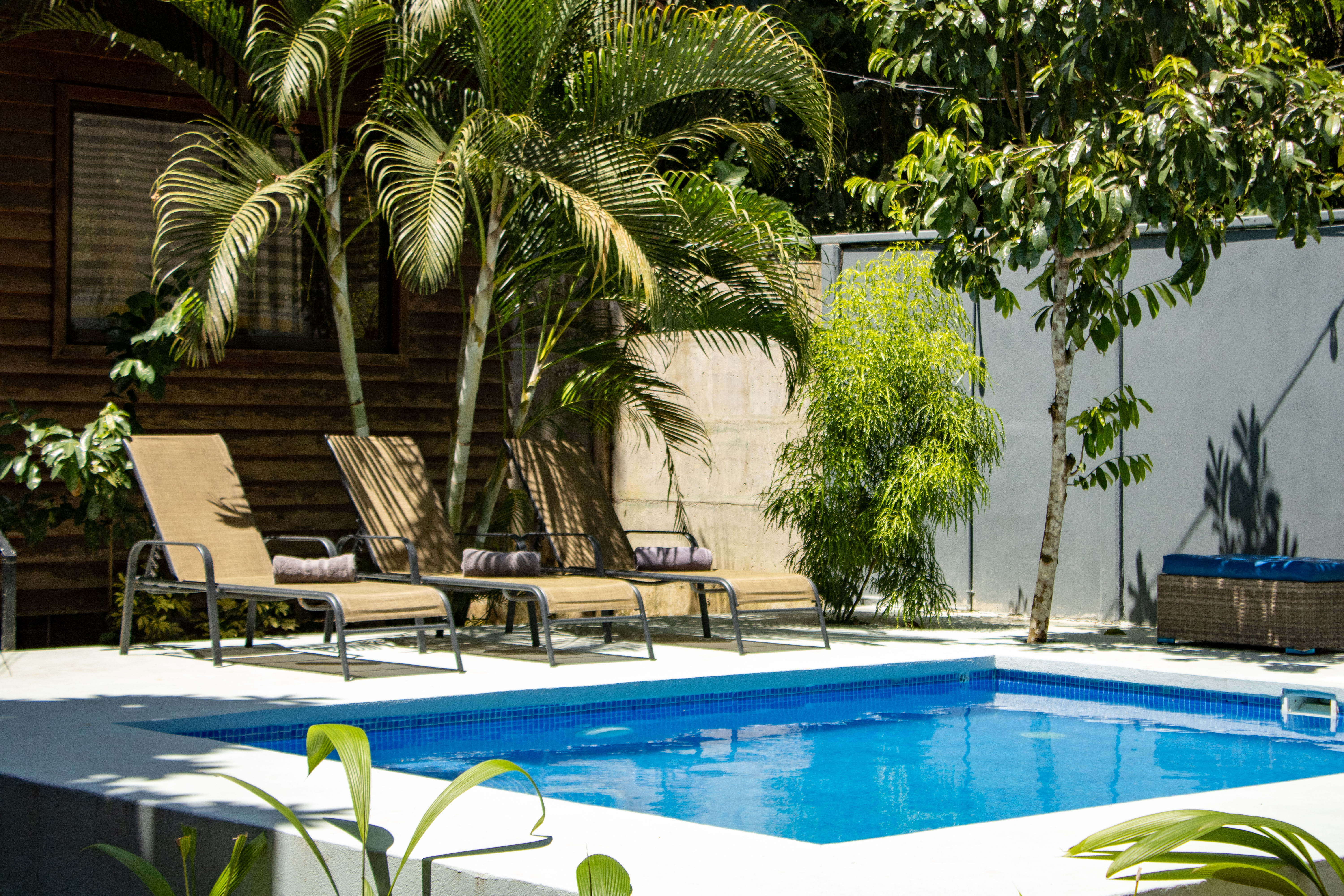 Casa Tulipan Jungle Getaway: Pool, Garden, BBQ