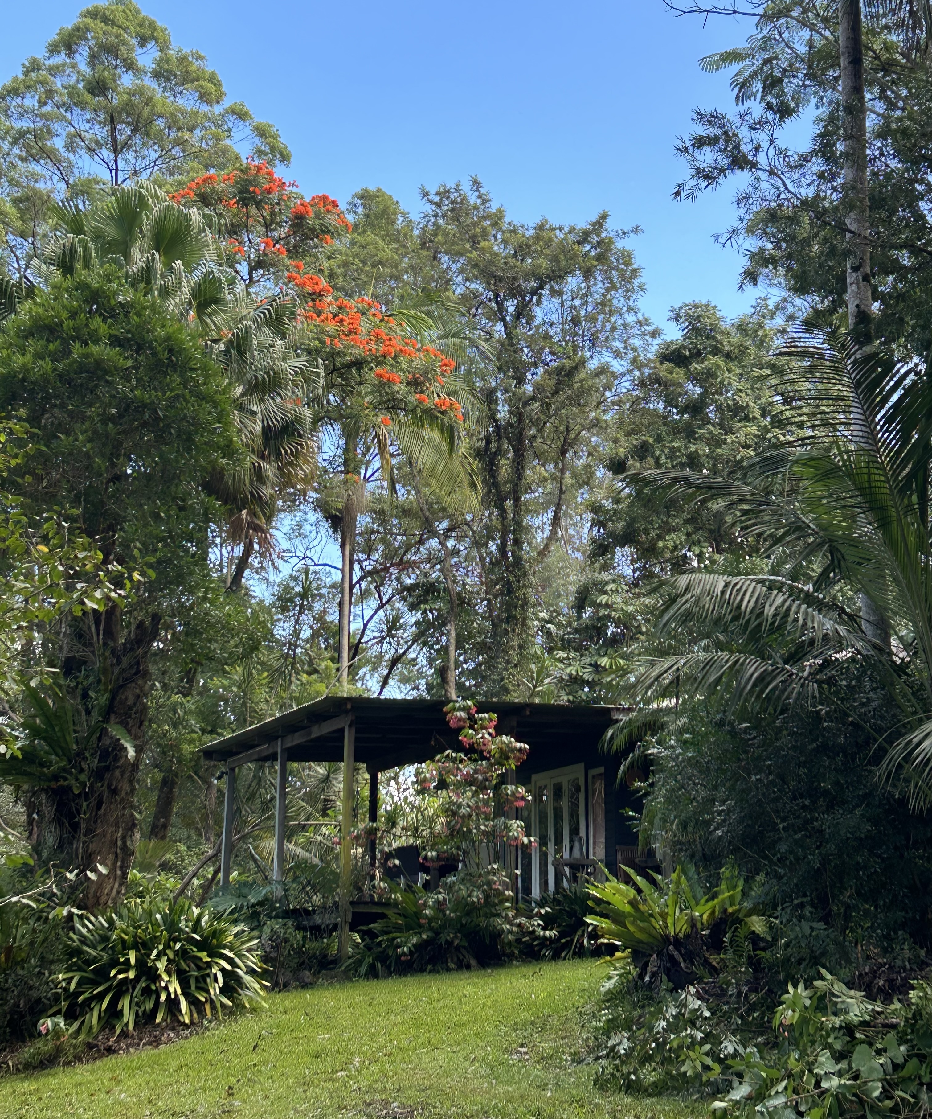 River House aka The Federal Hilton in BYRON SHIRE COUNCIL, Northern Rivers