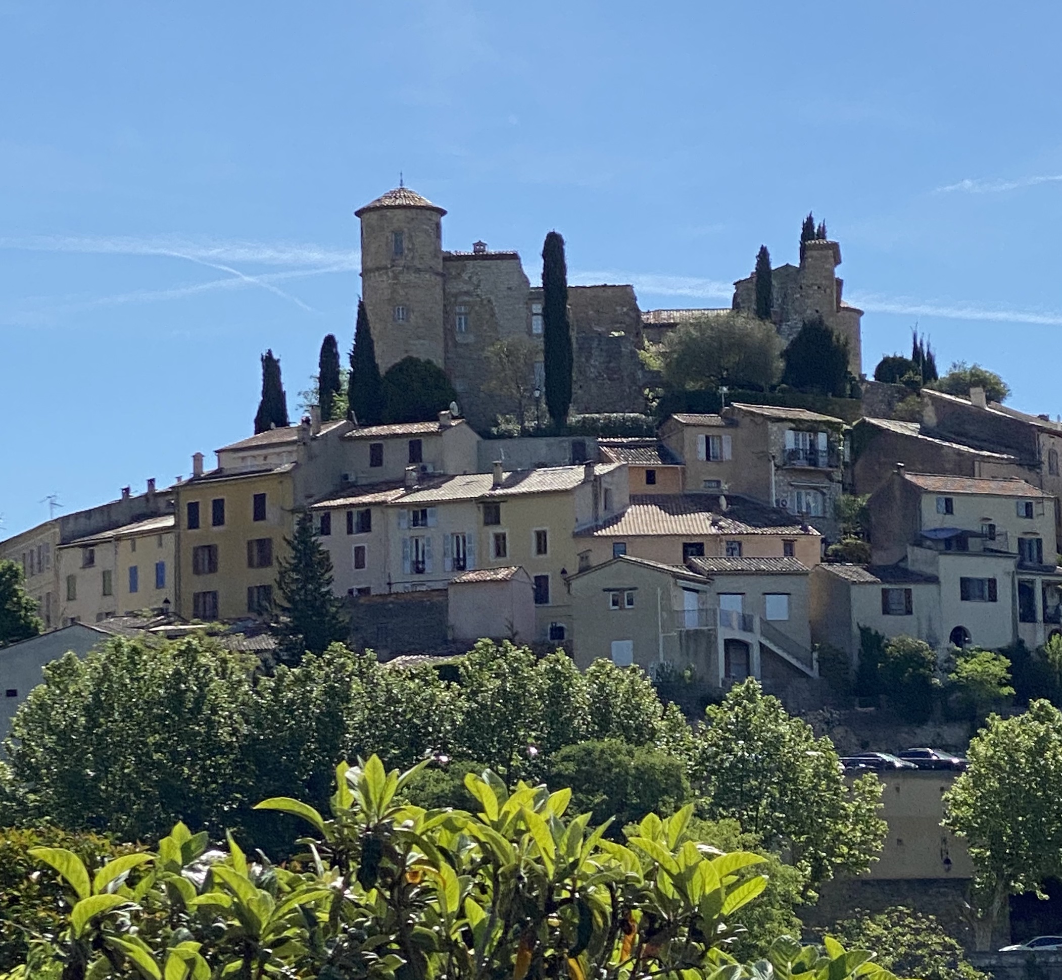 L 'agapanthe