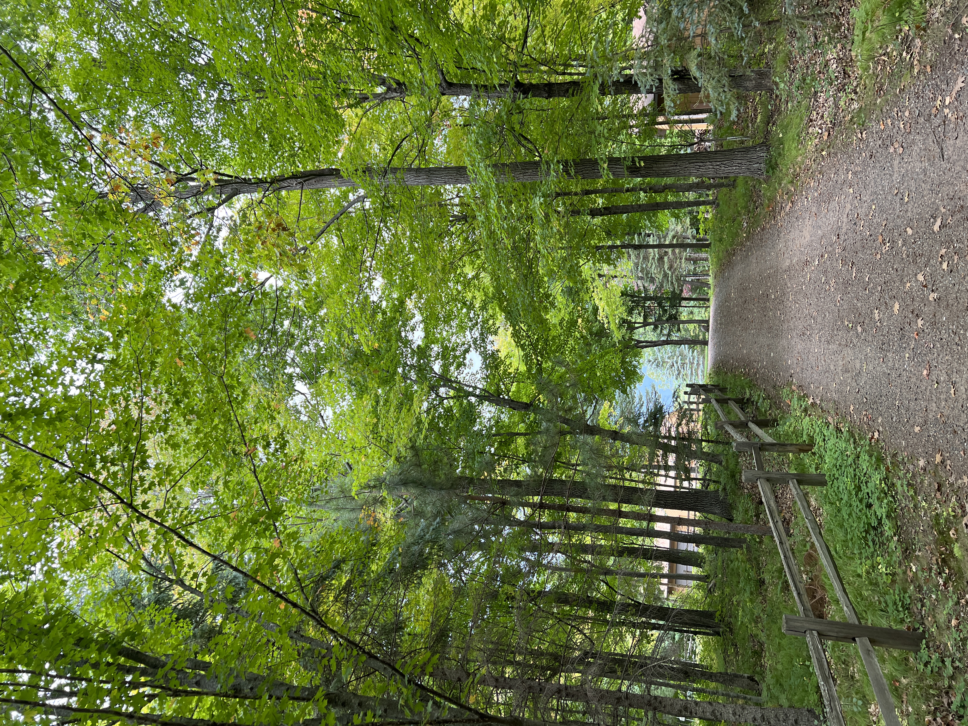 Lakefront Cabin in the Woods