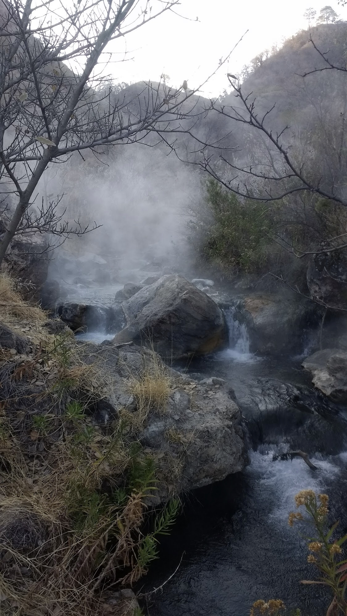Bosque Aguas Termales Y Torta Ahogada Airbnb