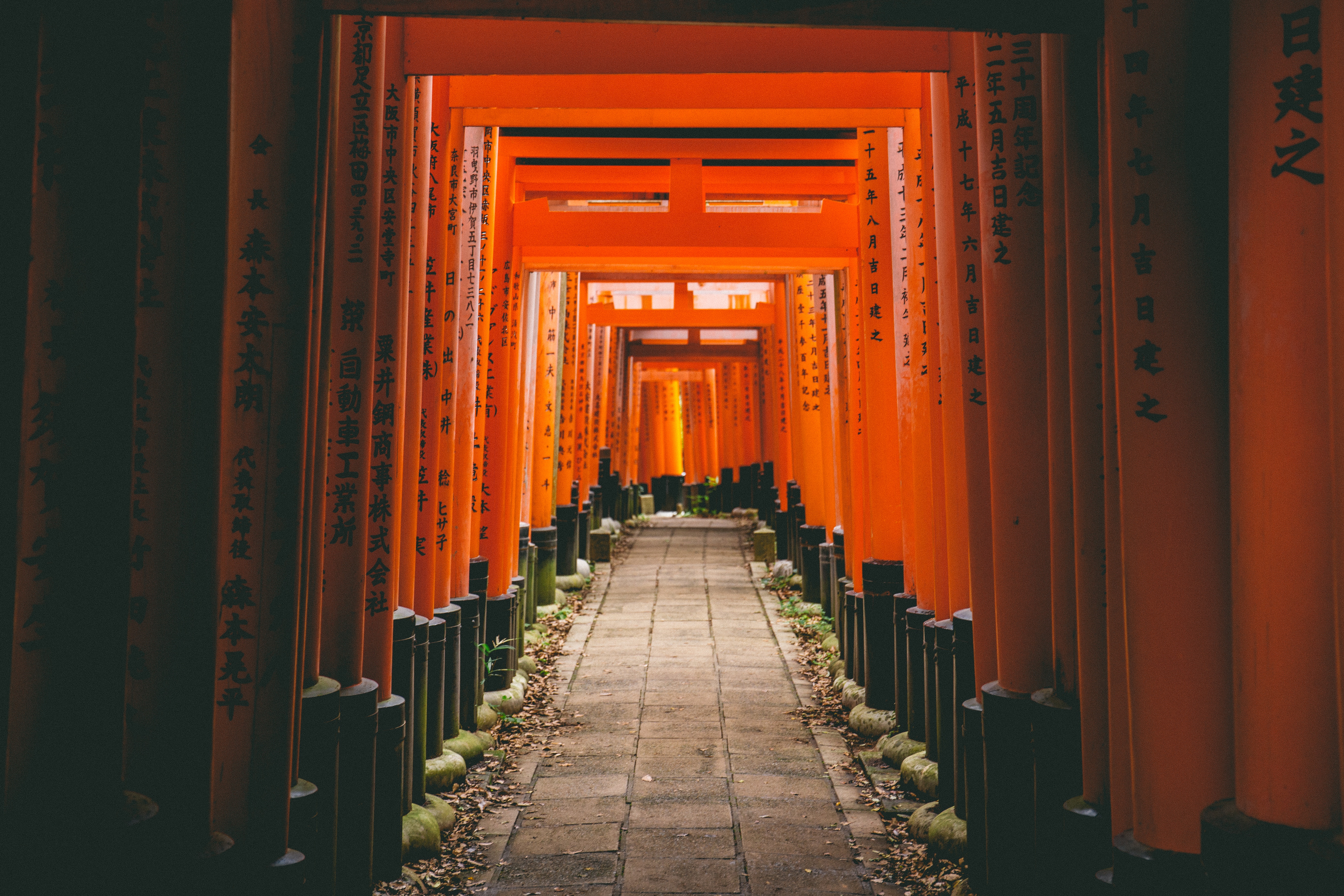 Hidden Hike Of Fushimi Inari With Expert Airbnb