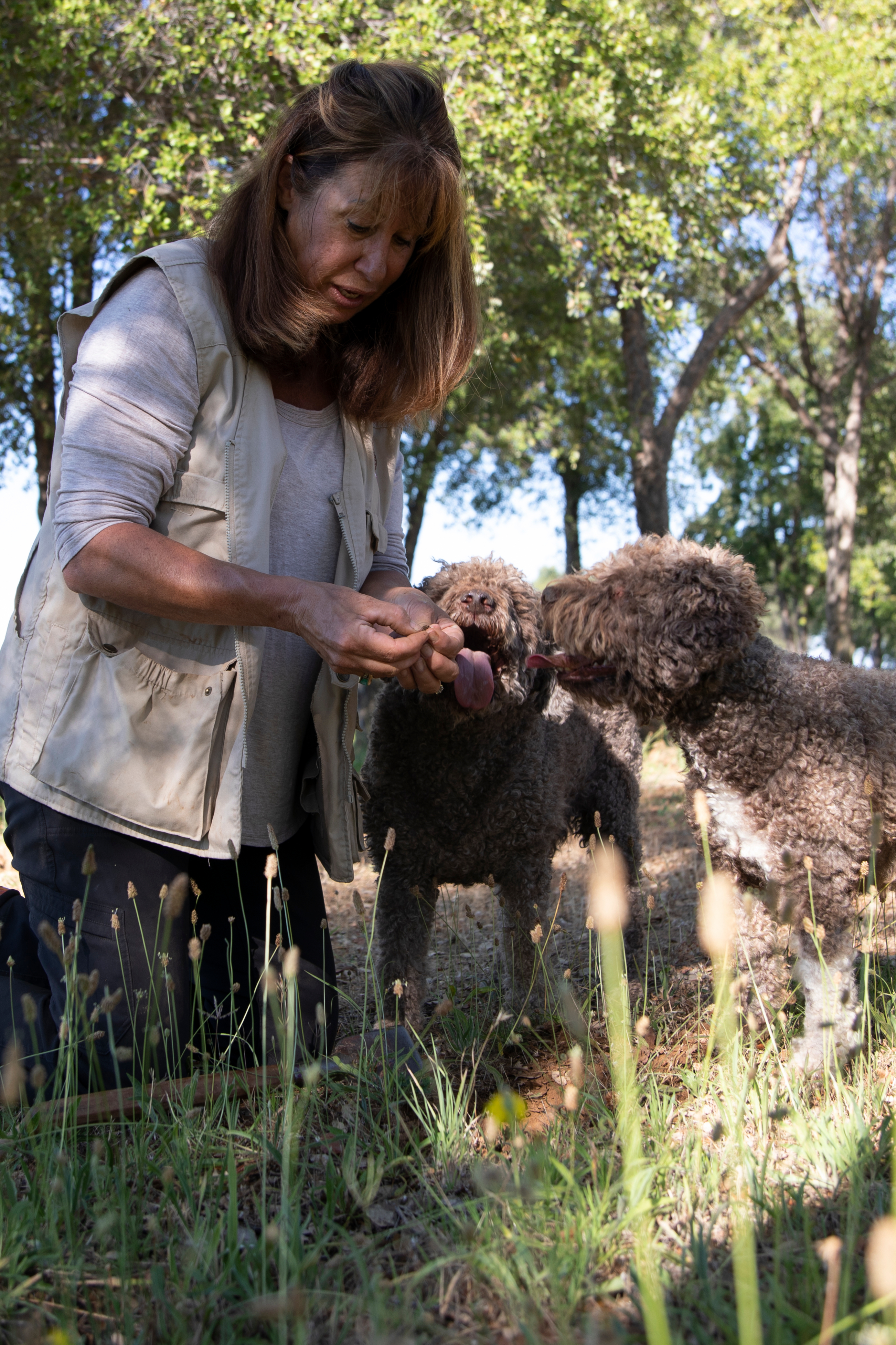truffle dog training kit