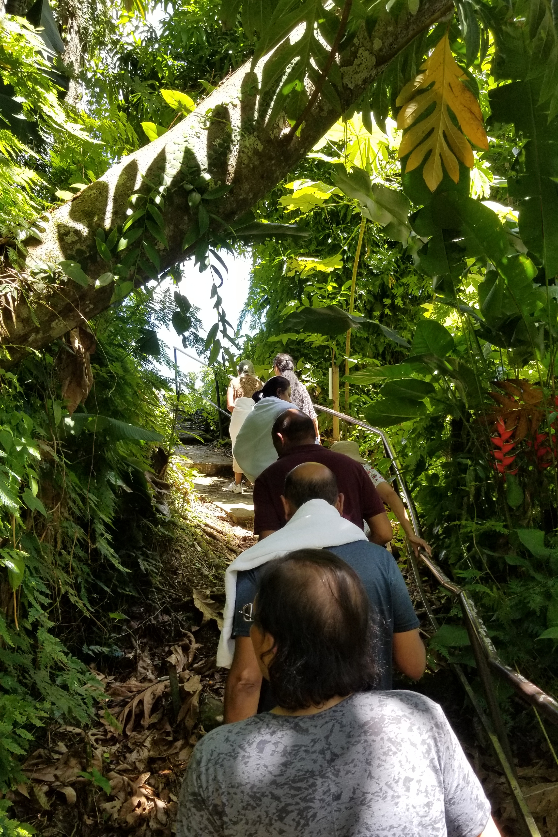 El Yunque Rainforest Luquillo Beach Airbnb