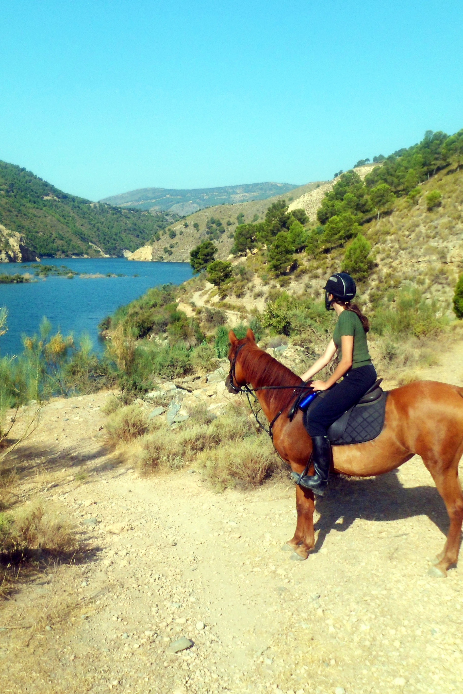 Half Day Horse Trekking In The Mountains Airbnb