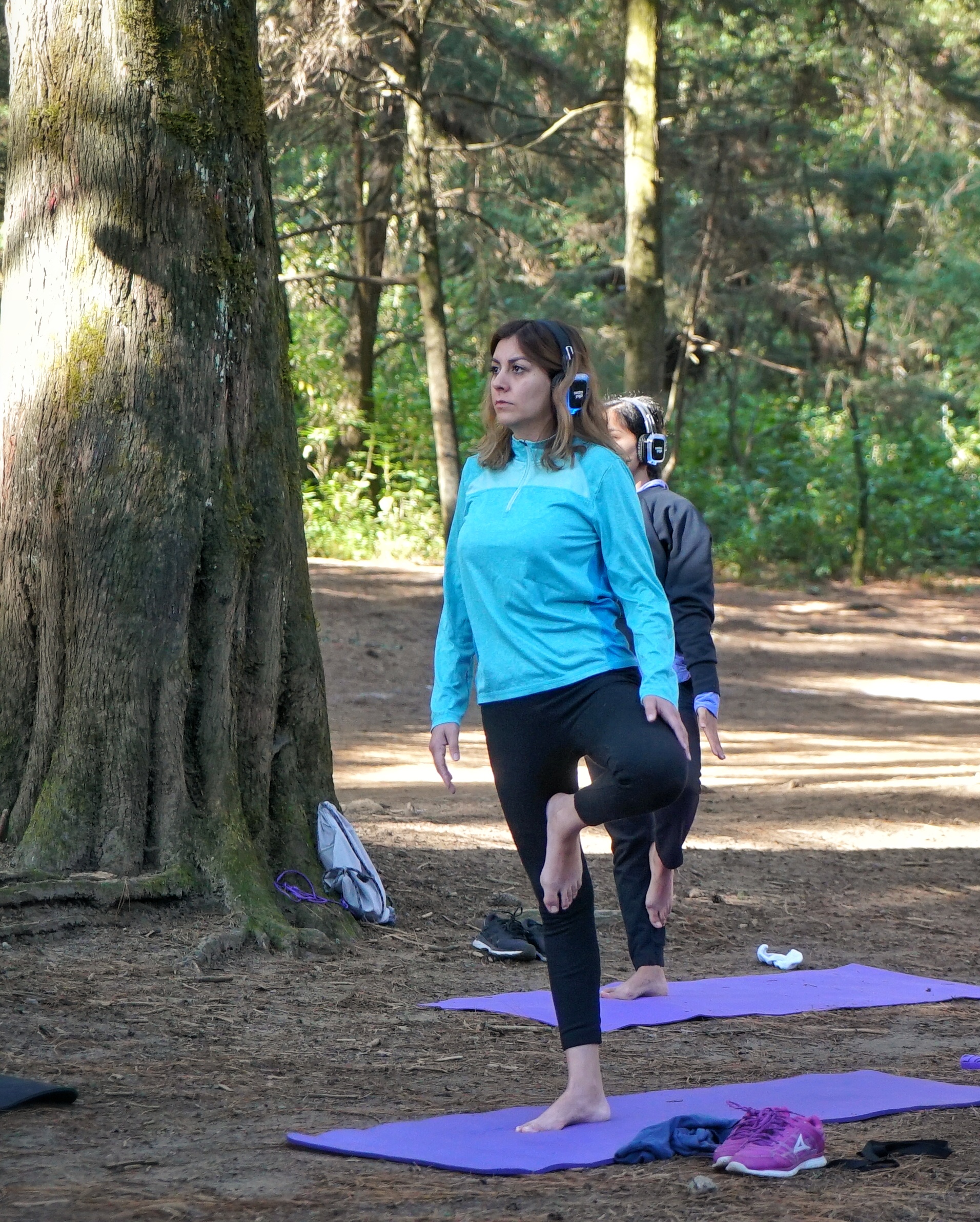 Silent Yoga en el Bosque Airbnb
