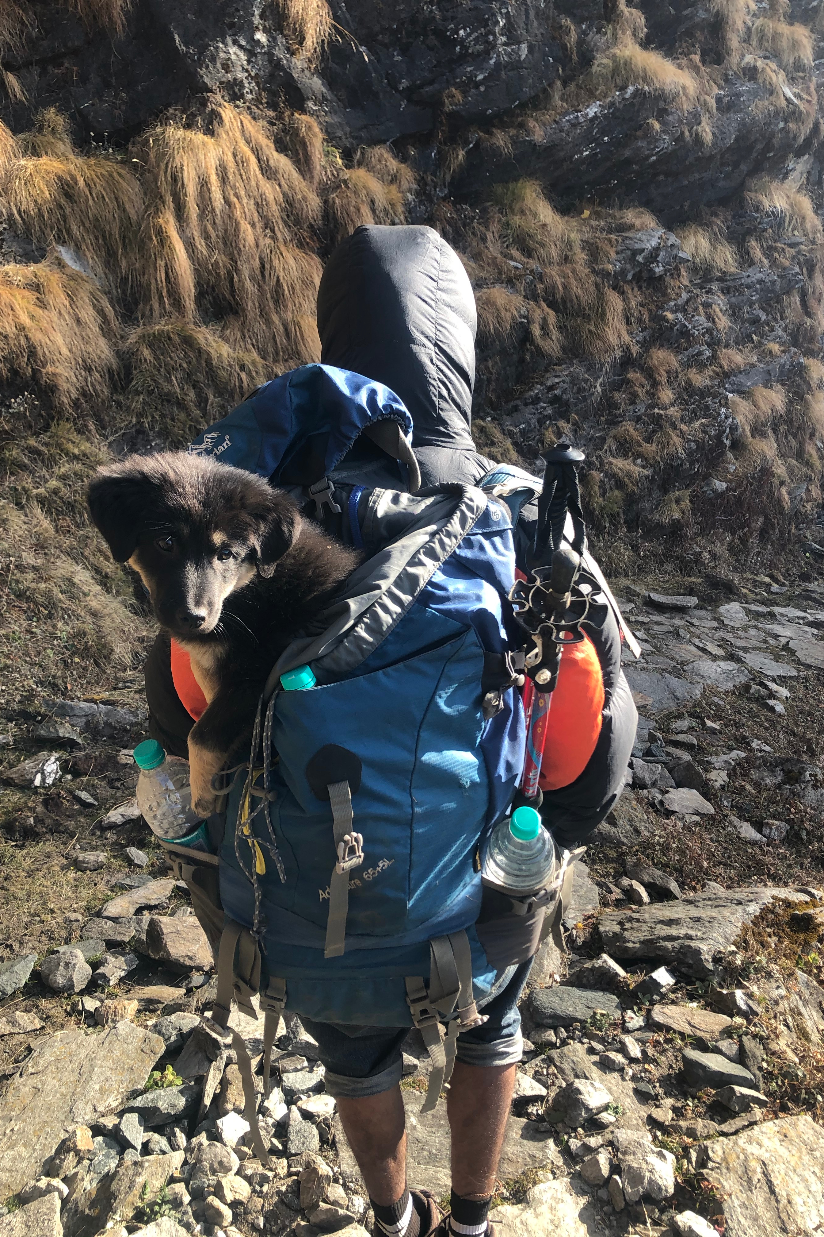 gregory hiking bolsa