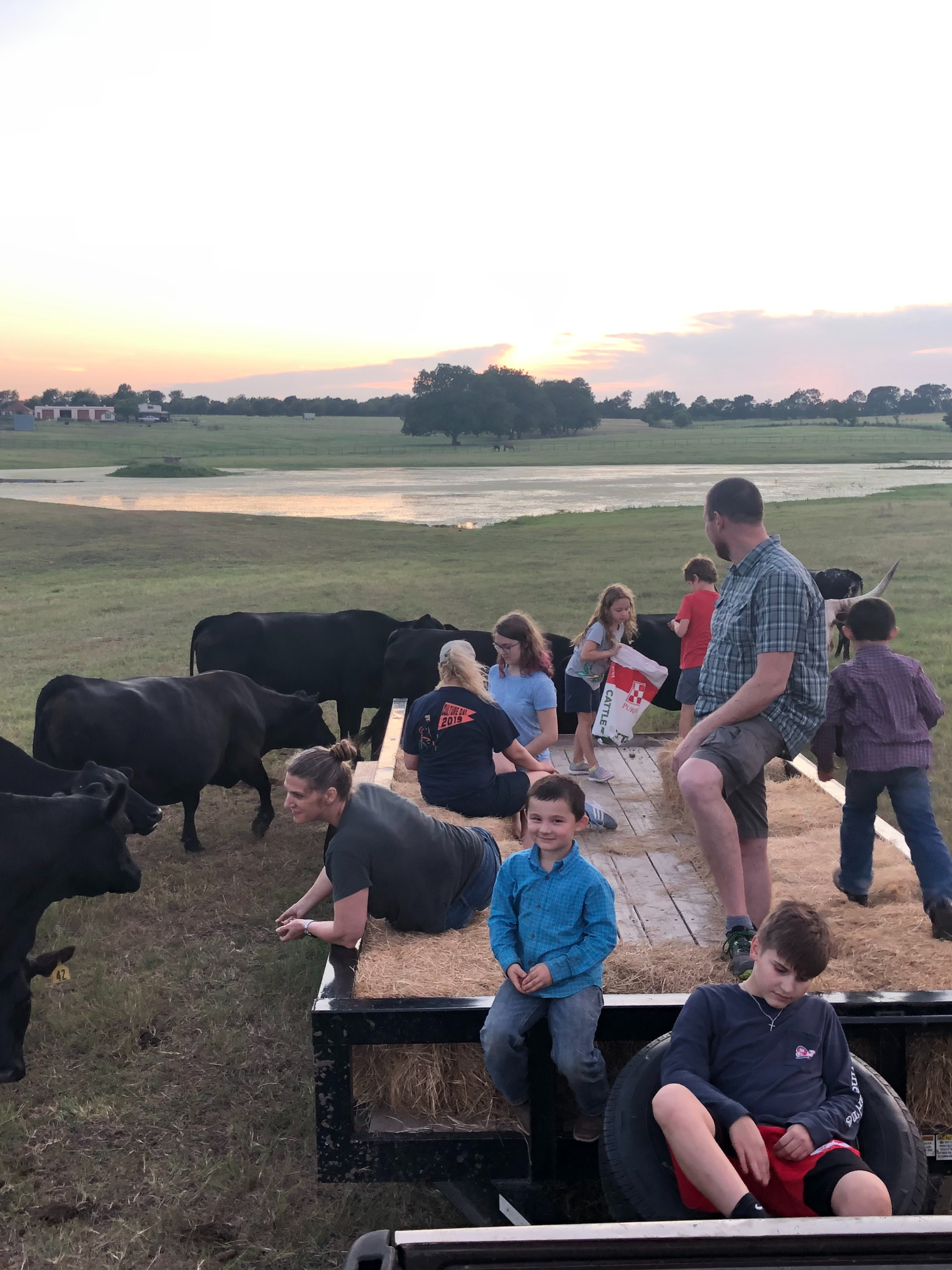 Rockin Star Ranch Wine With The Bovine Airbnb Rockin Star Ranch Wine With The Bovine Airbnb