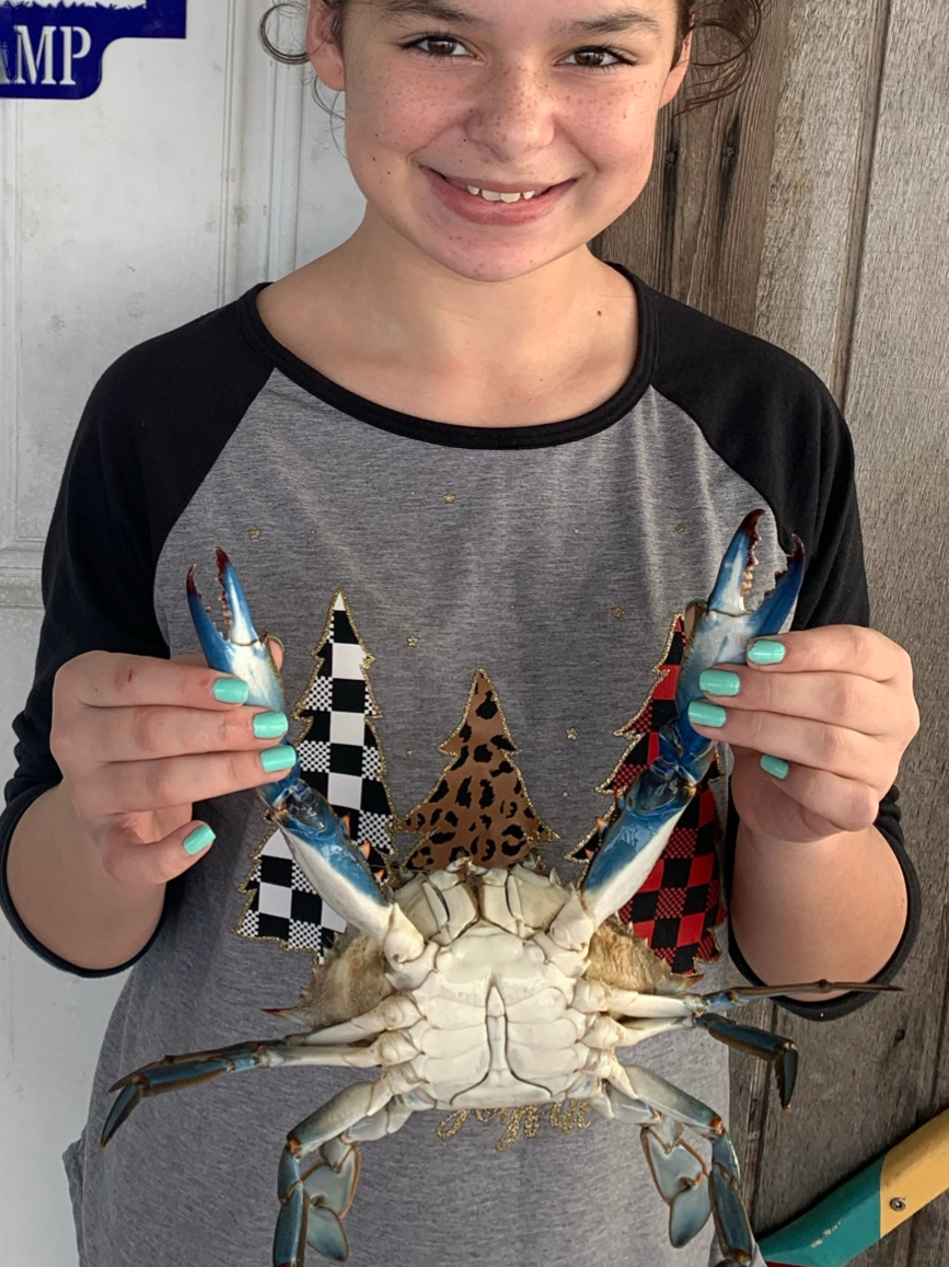 Catching Blue Crabs on the Bay Airbnb