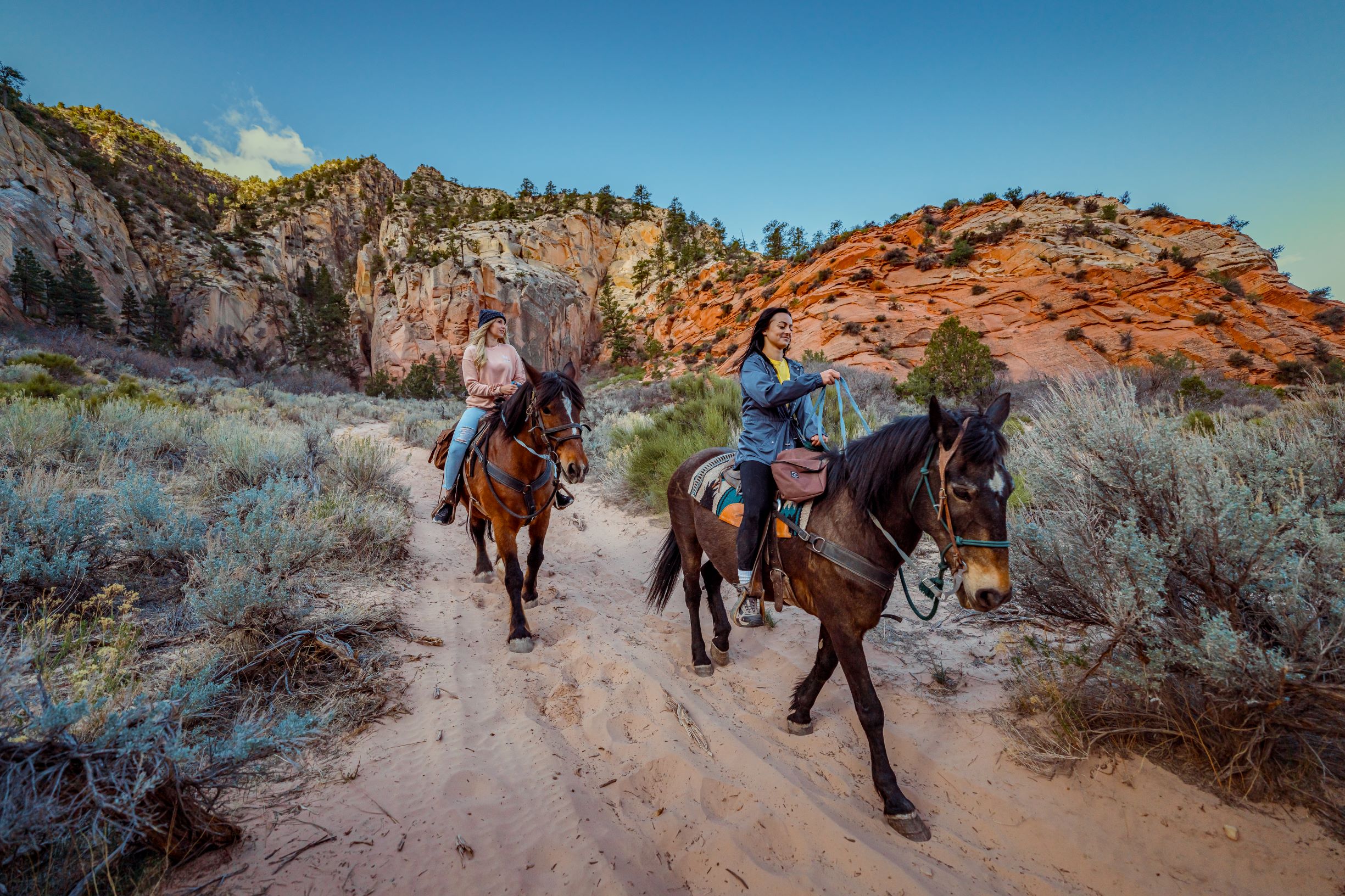 Horseback Riding in East Zion Airbnb