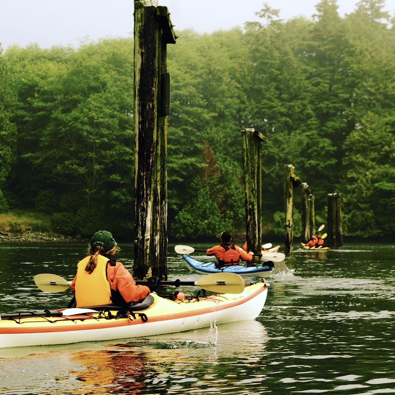 Half Day Kayaking - Ucluelet Harbor - Airbnb