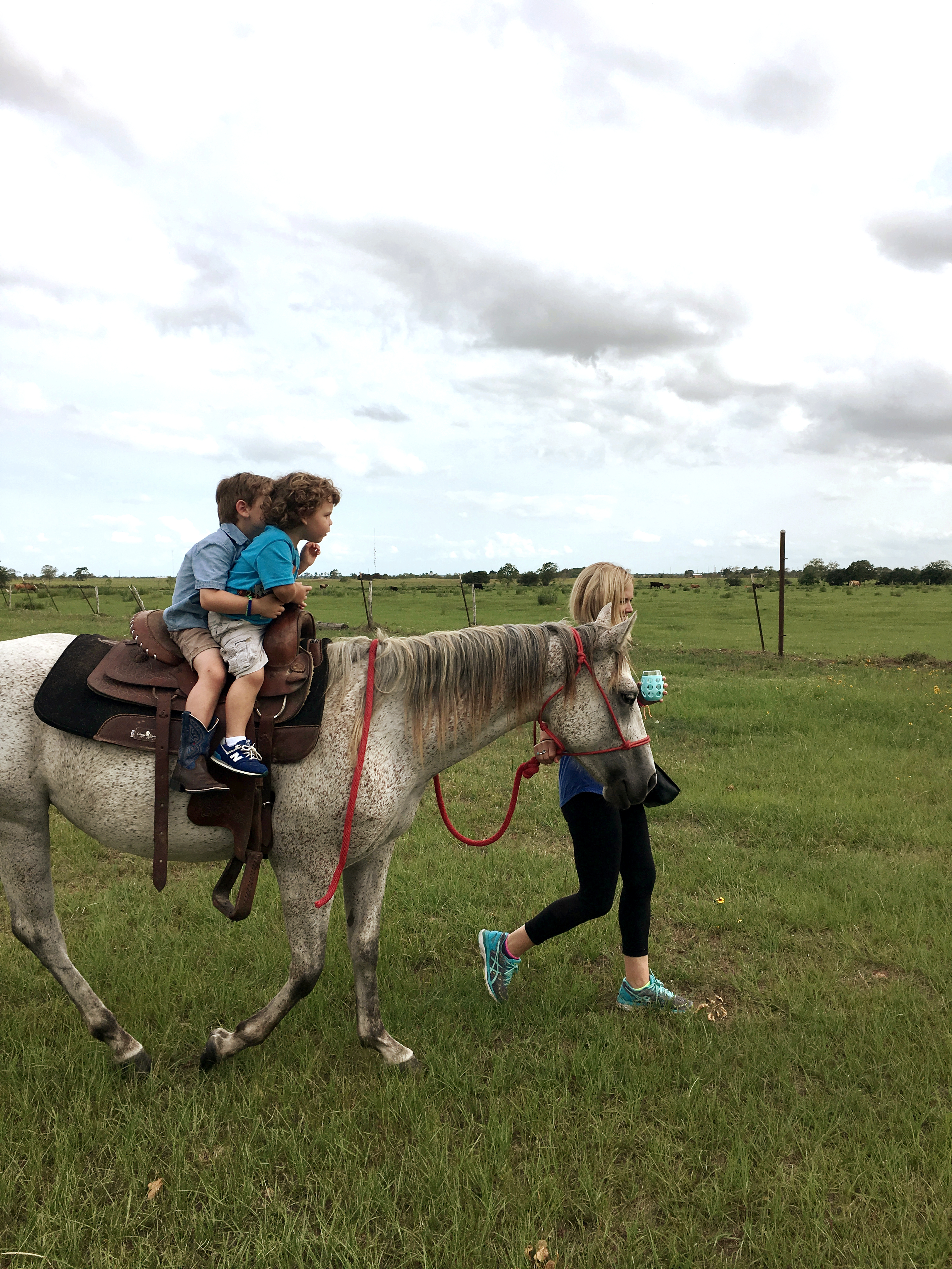 Horseback At Rockin Star Ranch Airbnb Horseback At Rockin Star Ranch Airbnb