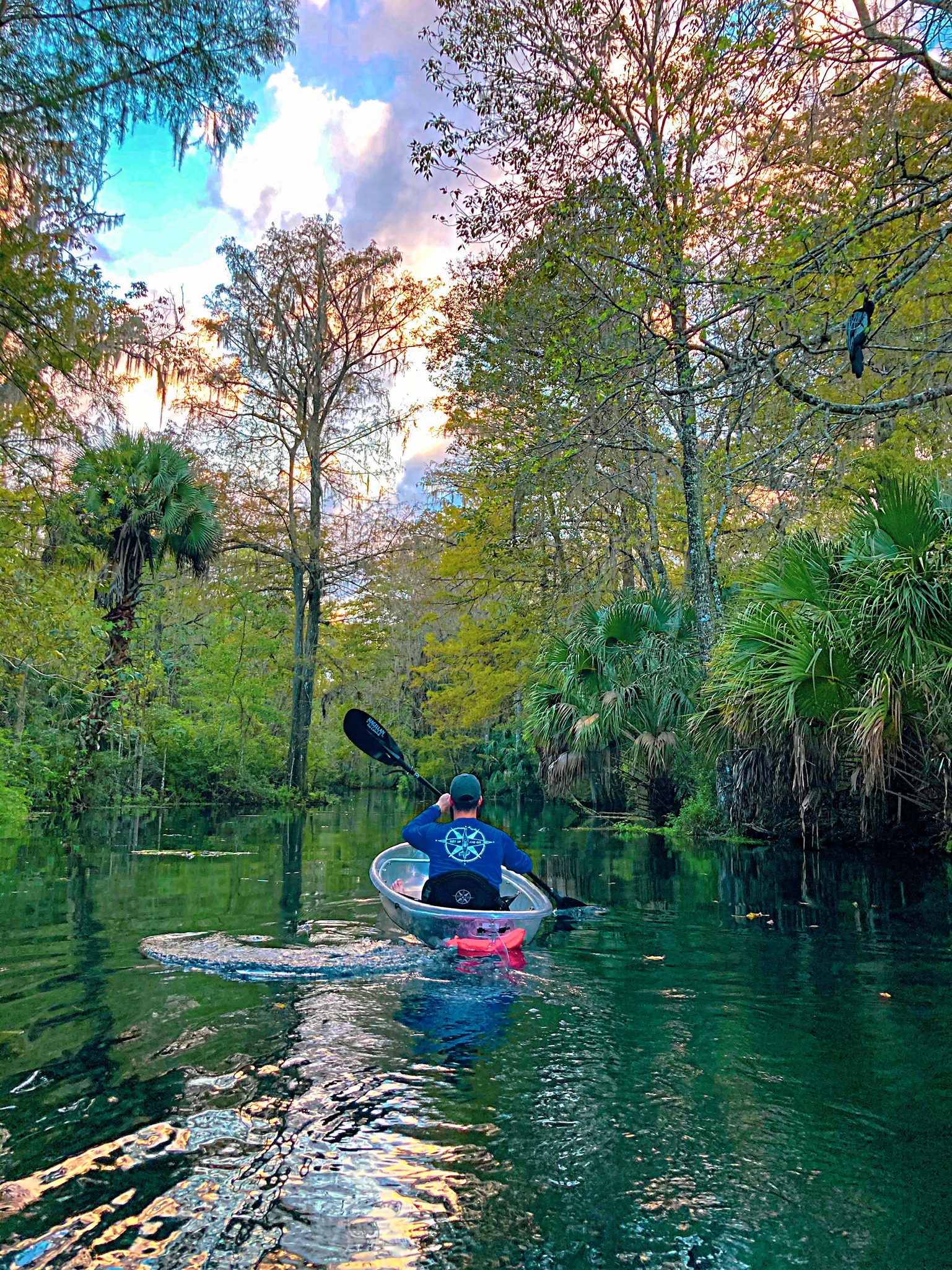 Clear kayak tour through Silver Springs Airbnb