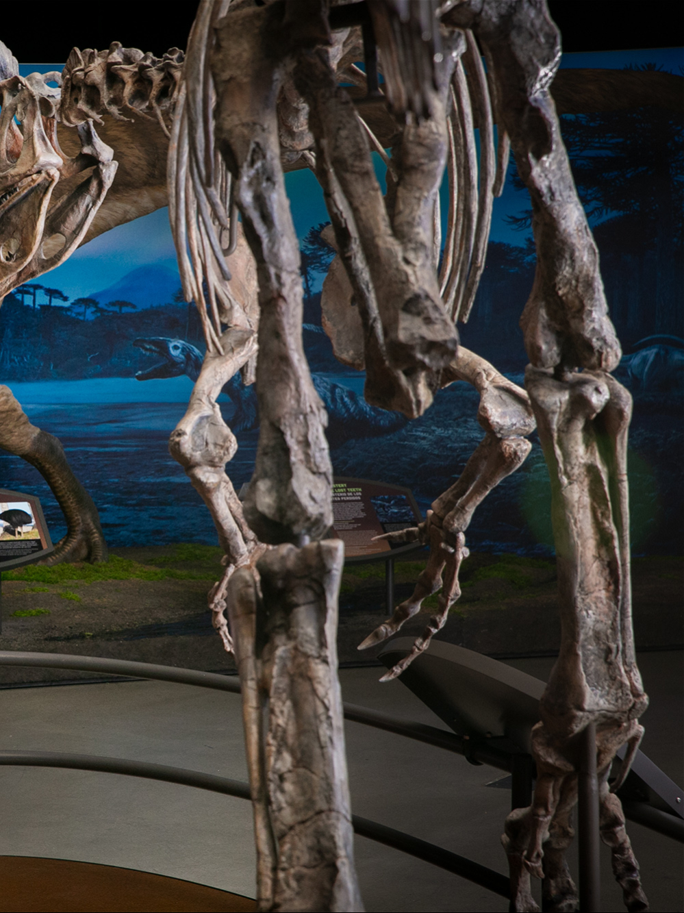 Antarctic Dinosaurs Airbnb