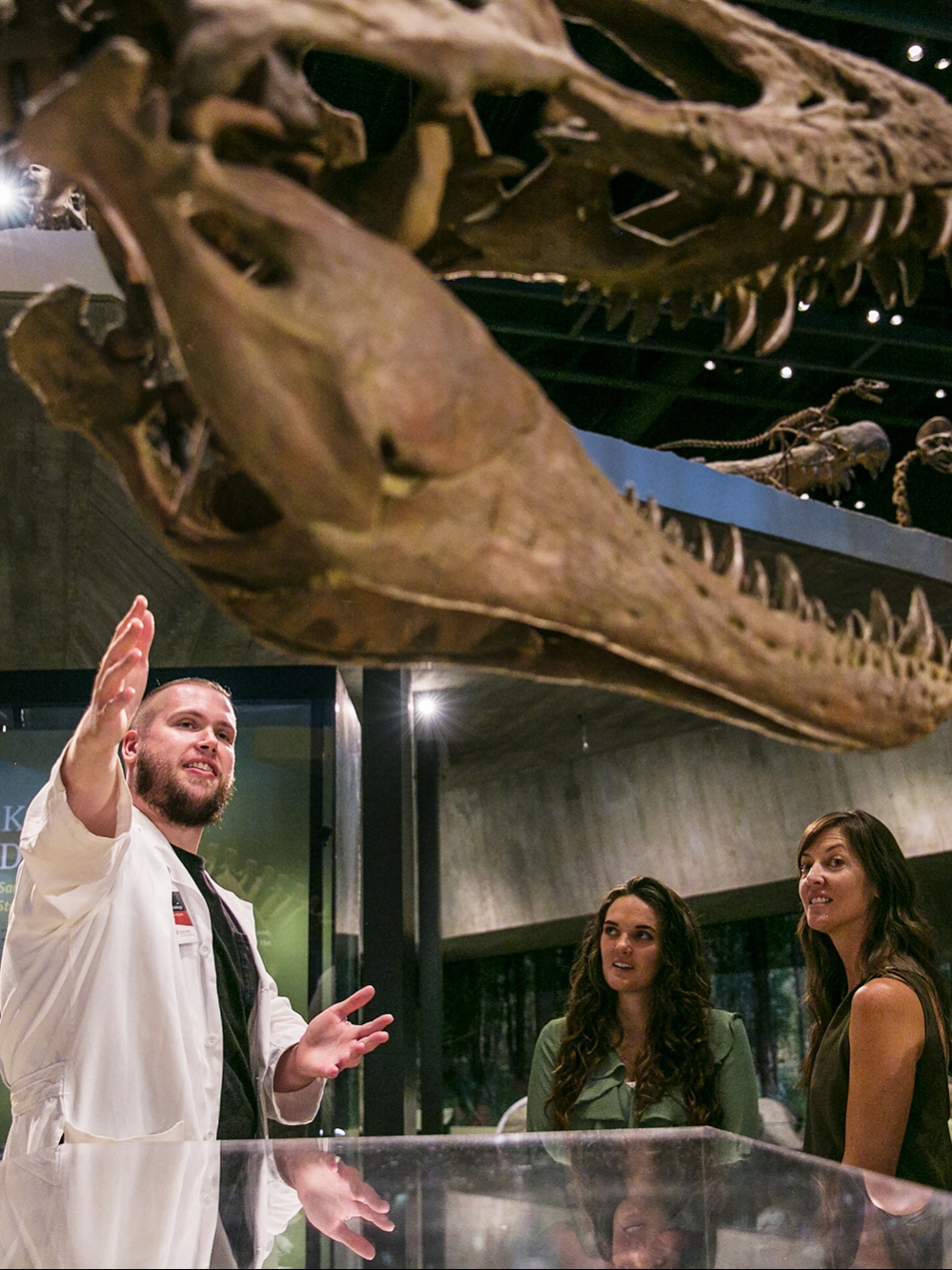 Antarctic Dinosaurs Airbnb