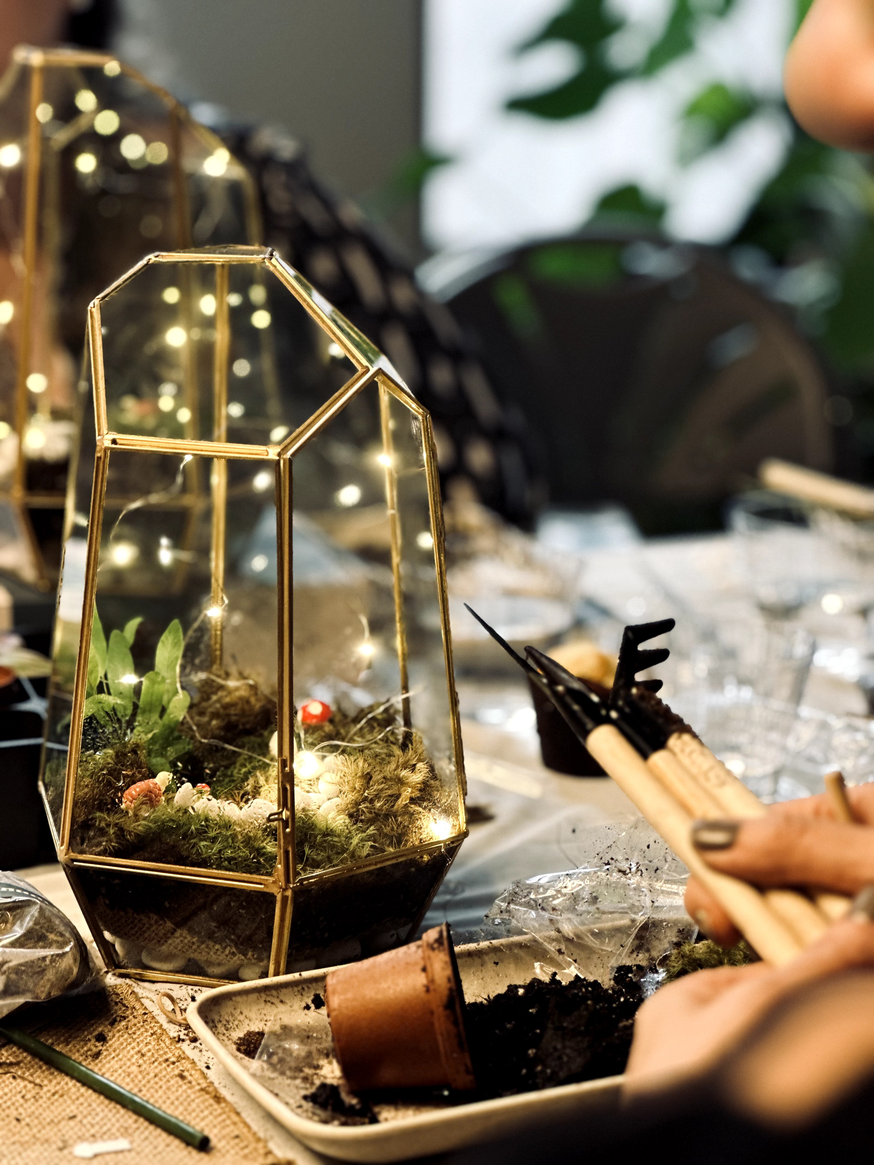 Terrarium Making Workshop 2