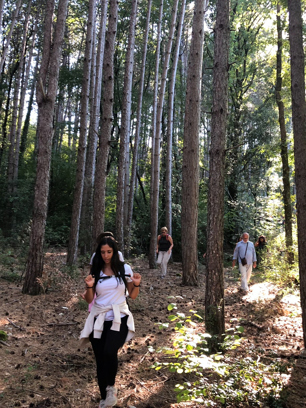 Forest bathing - Airbnb