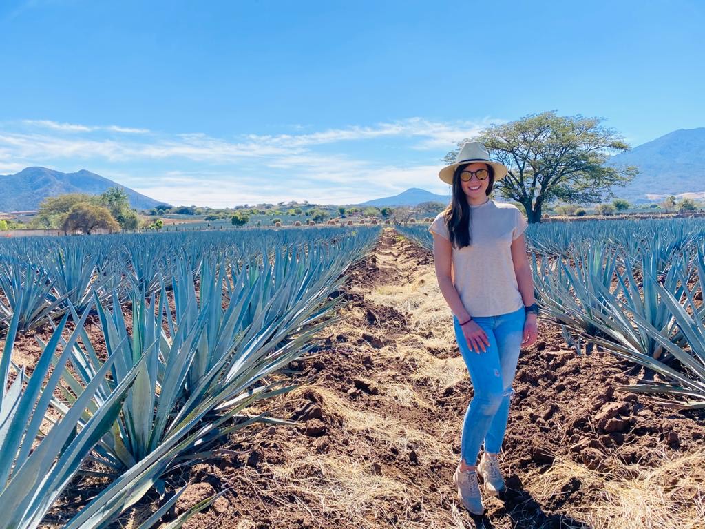 Tequila Route / Available Airbnb