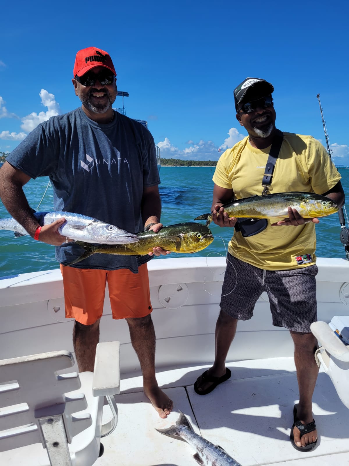 Punta Cana Deep sea fishing, big catch adventure Airbnb