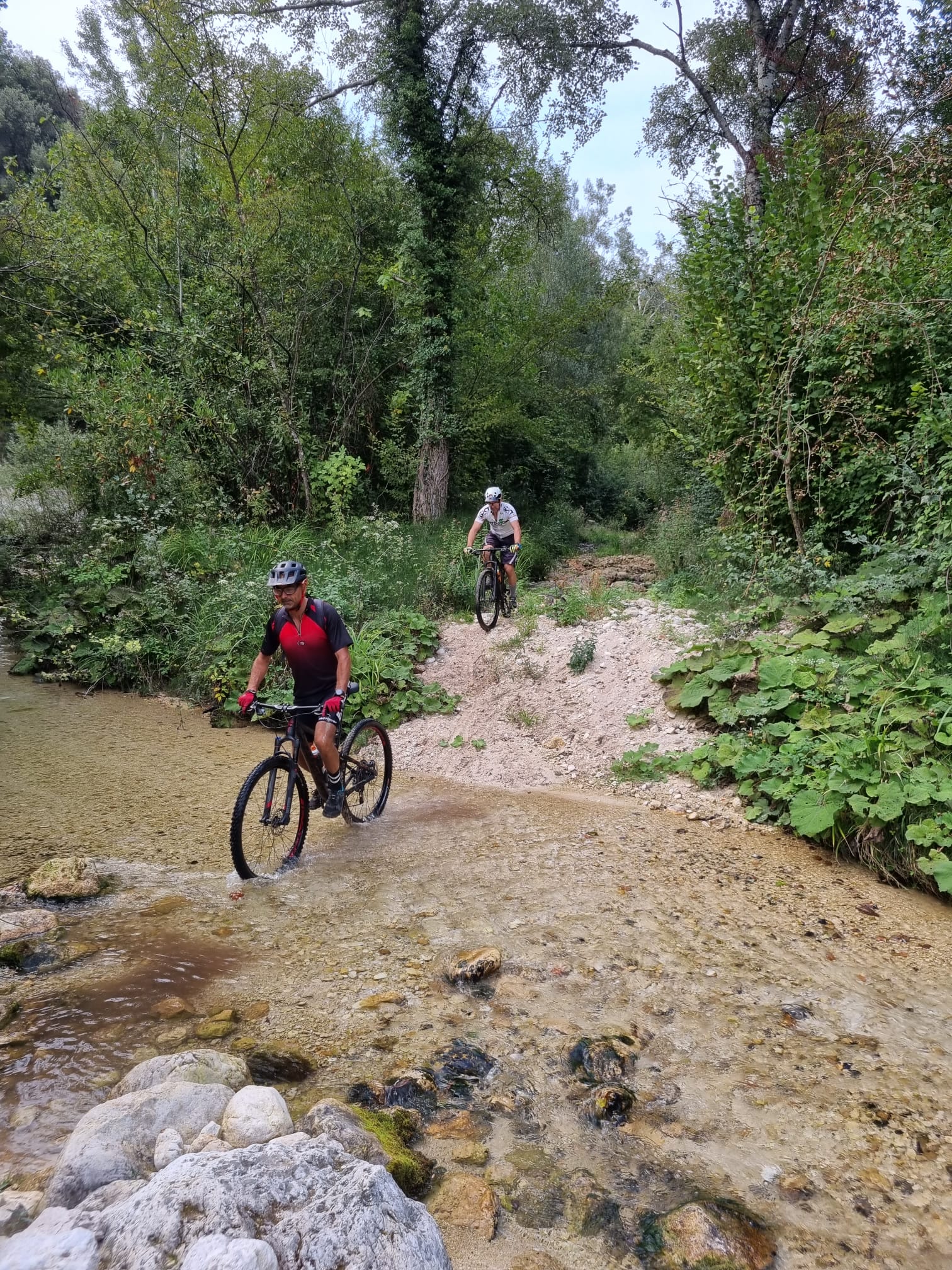Mountain biking in nature Airbnb