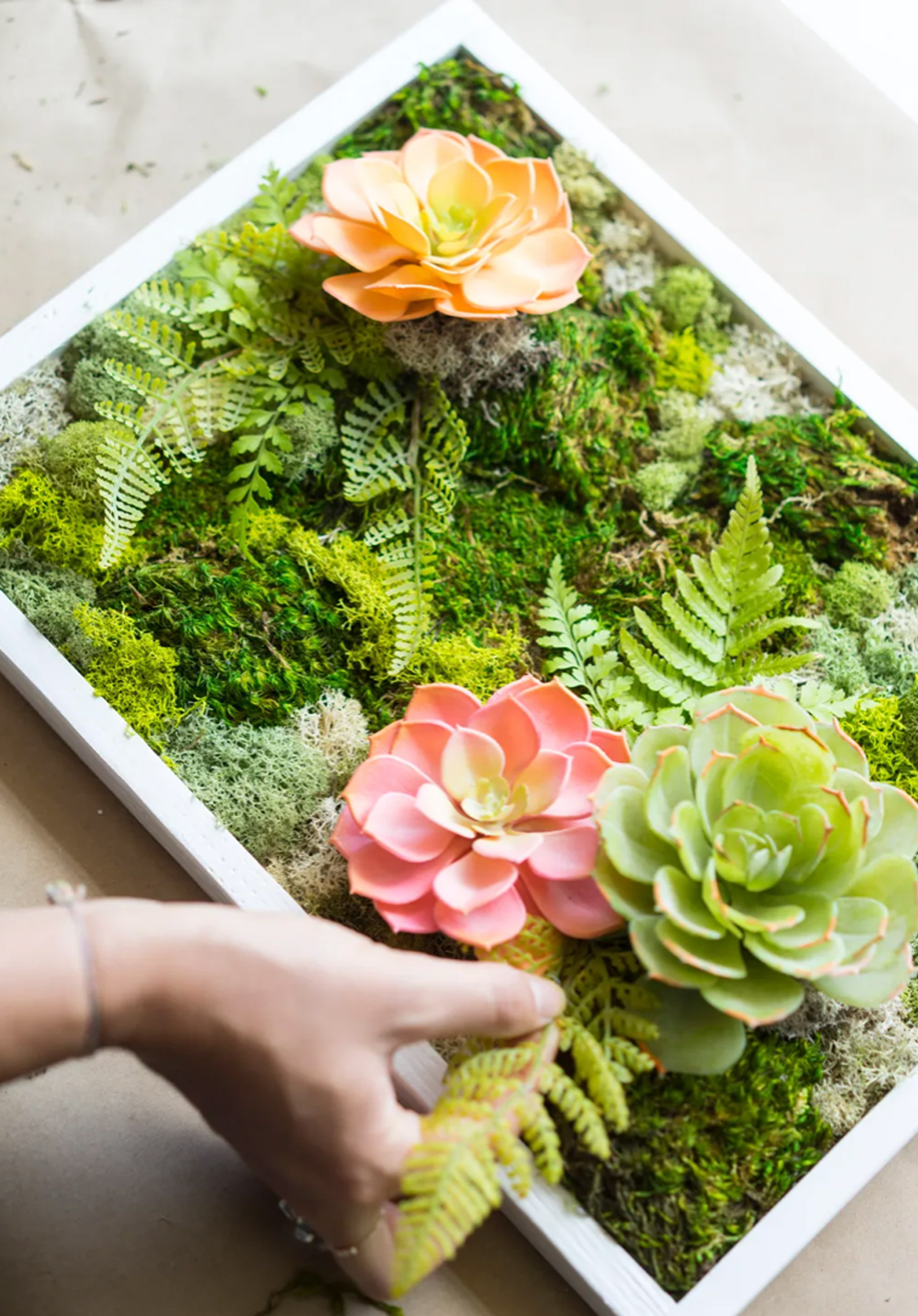 Moss Wall Art Airbnb