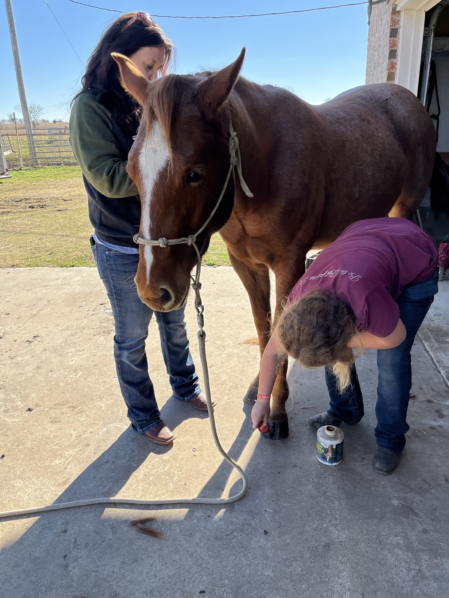 Horse Farm Airbnb Florida - qhsjitr