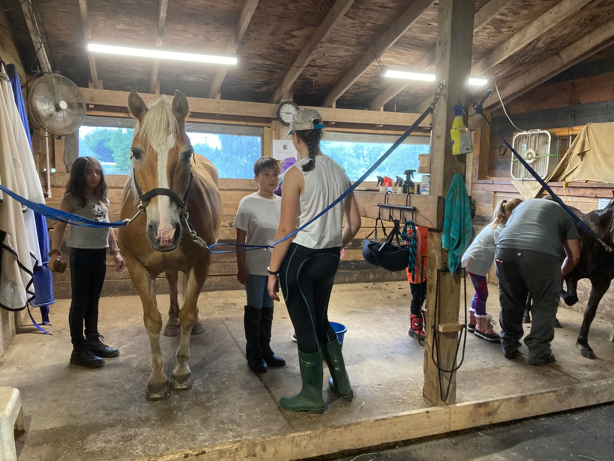 Horse Farm Airbnb Florida - joetpgx