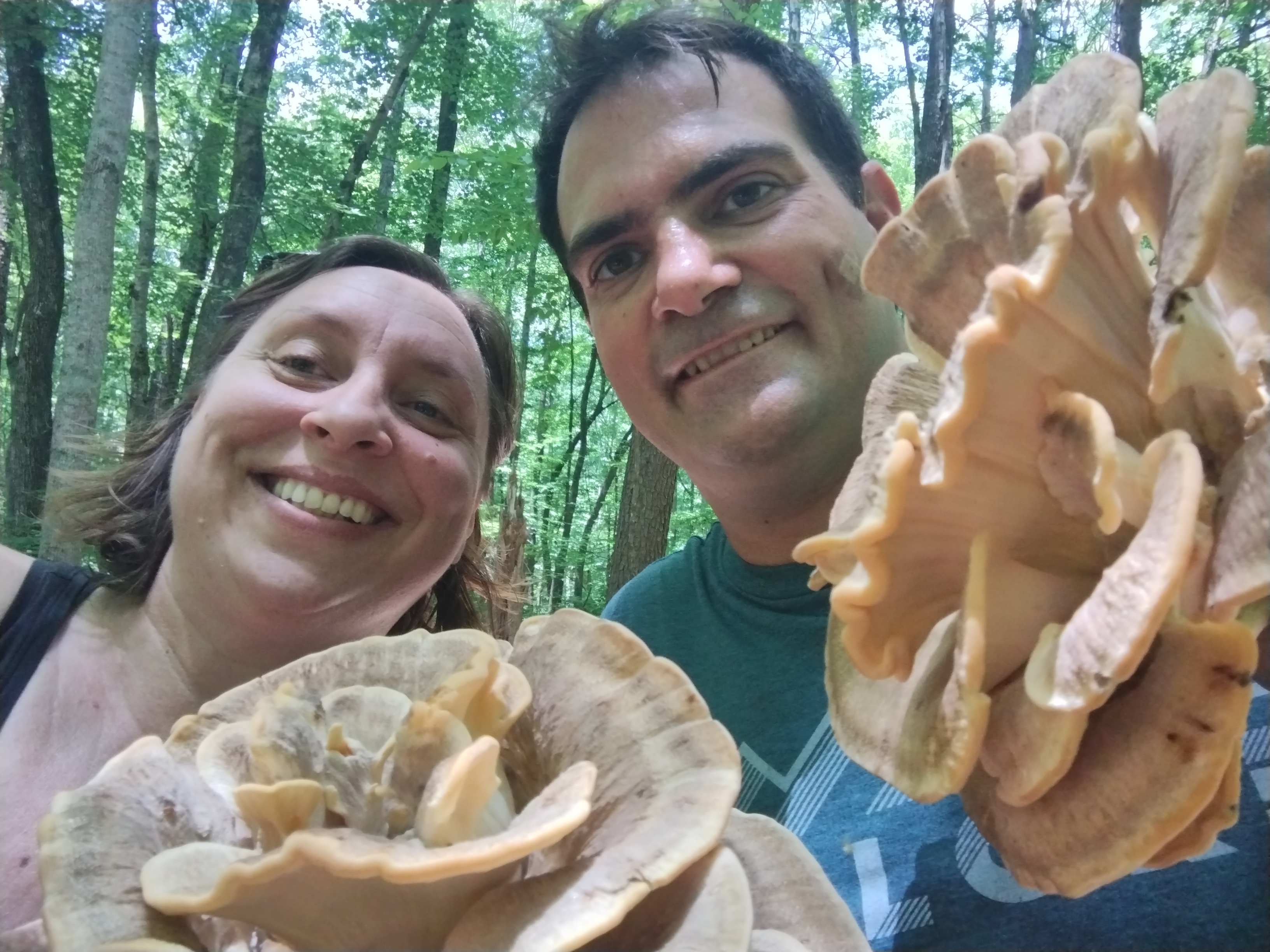 Wild Mushroom Forage Airbnb