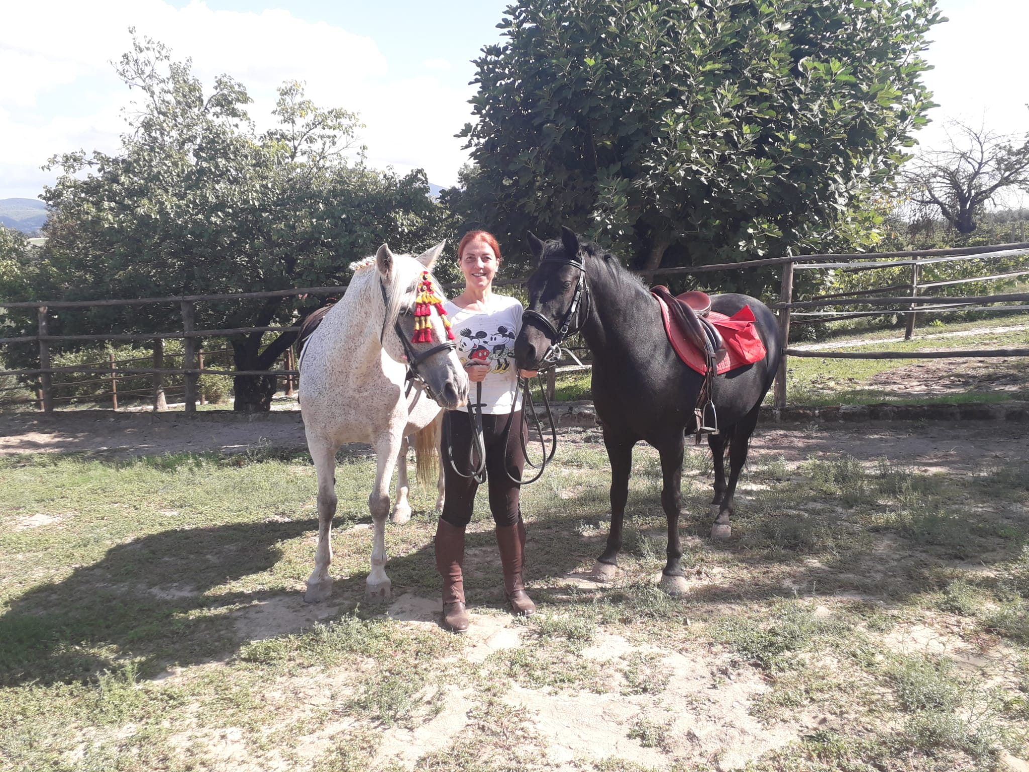Horse Farm Airbnb Florida - j1ic6rg