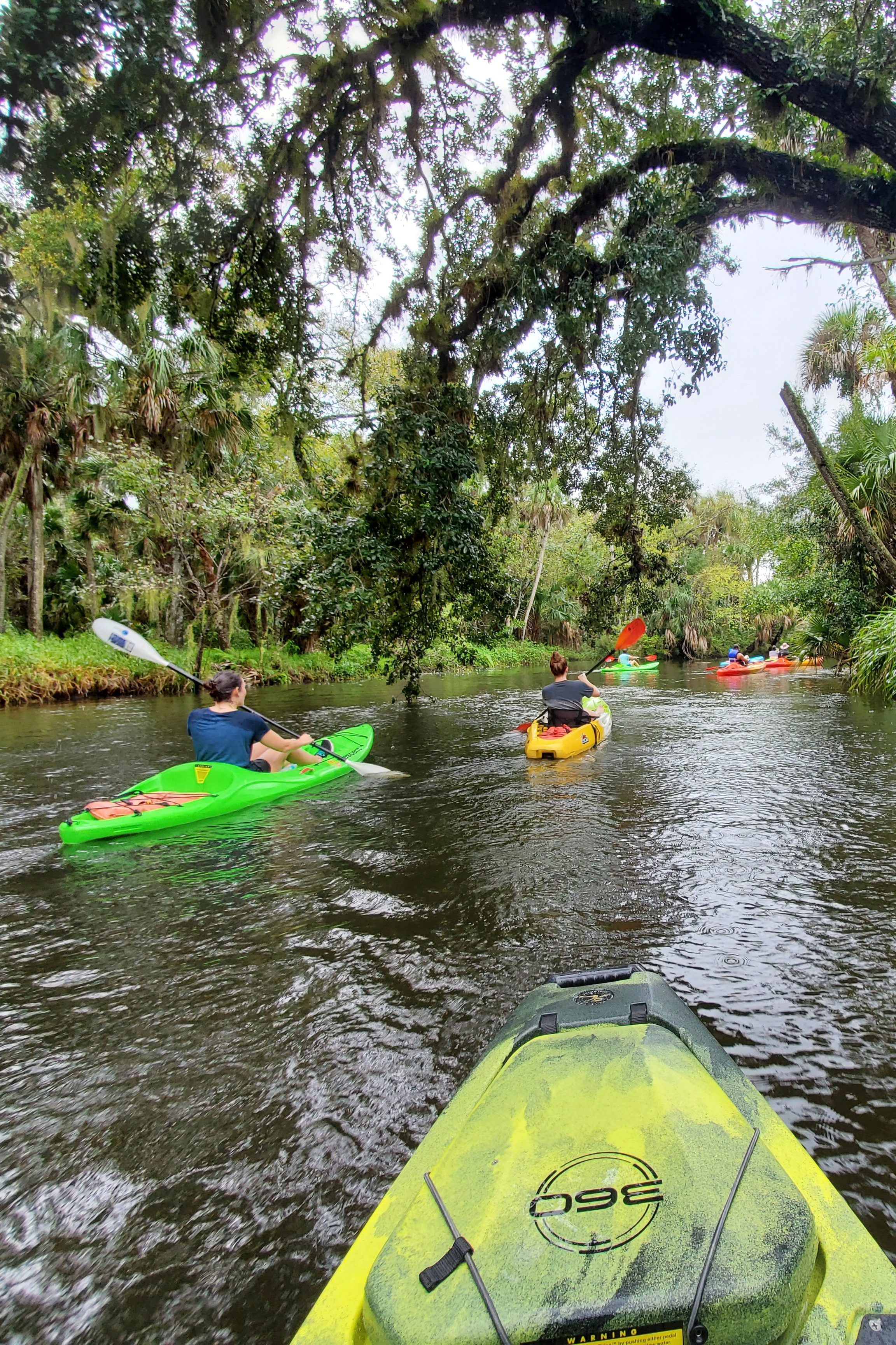 Hobie Mirage Kayaking on Turkey Creek - Airbnb