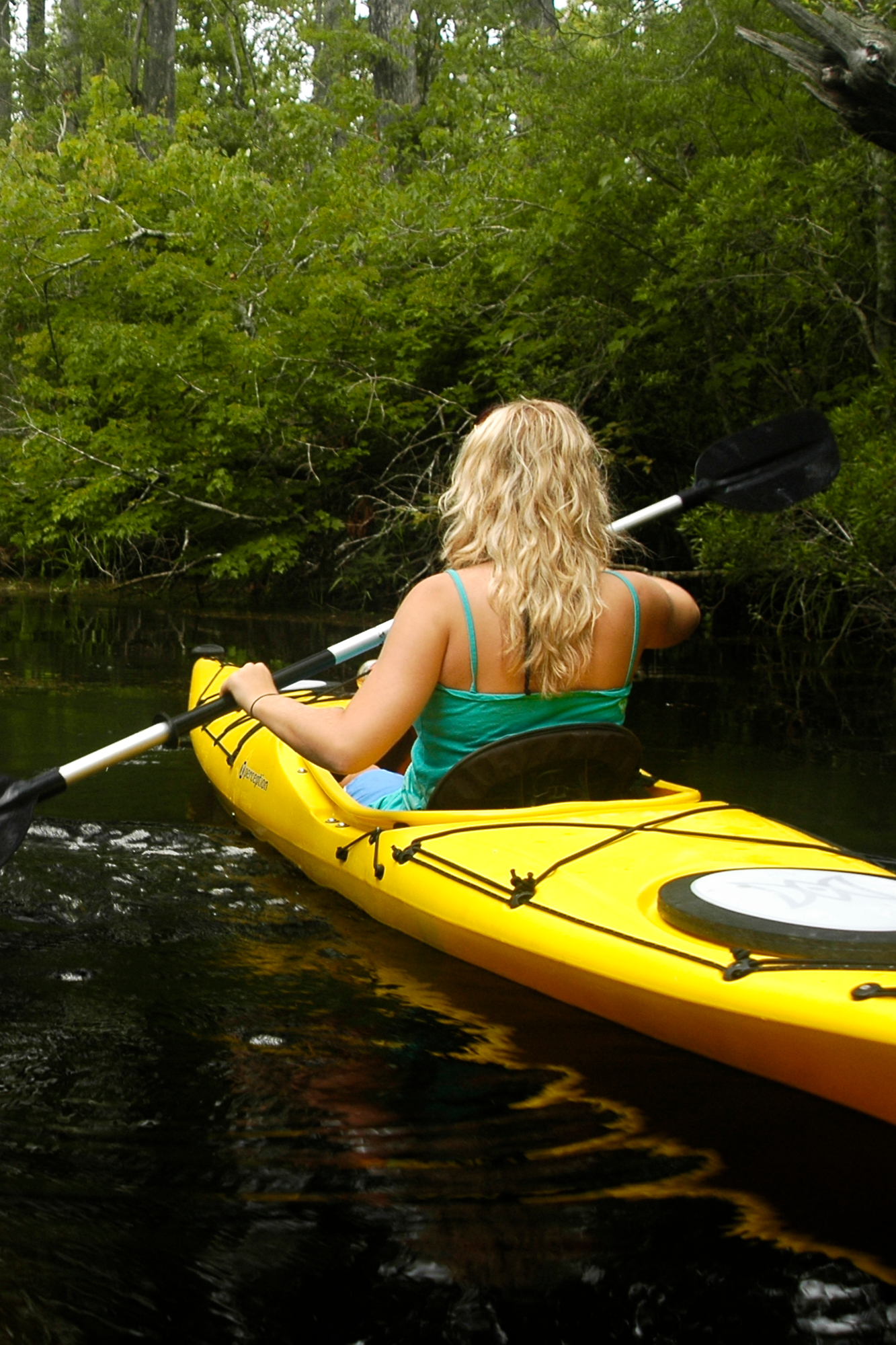 Alligator River Refuge Kayak Tour - Airbnb
