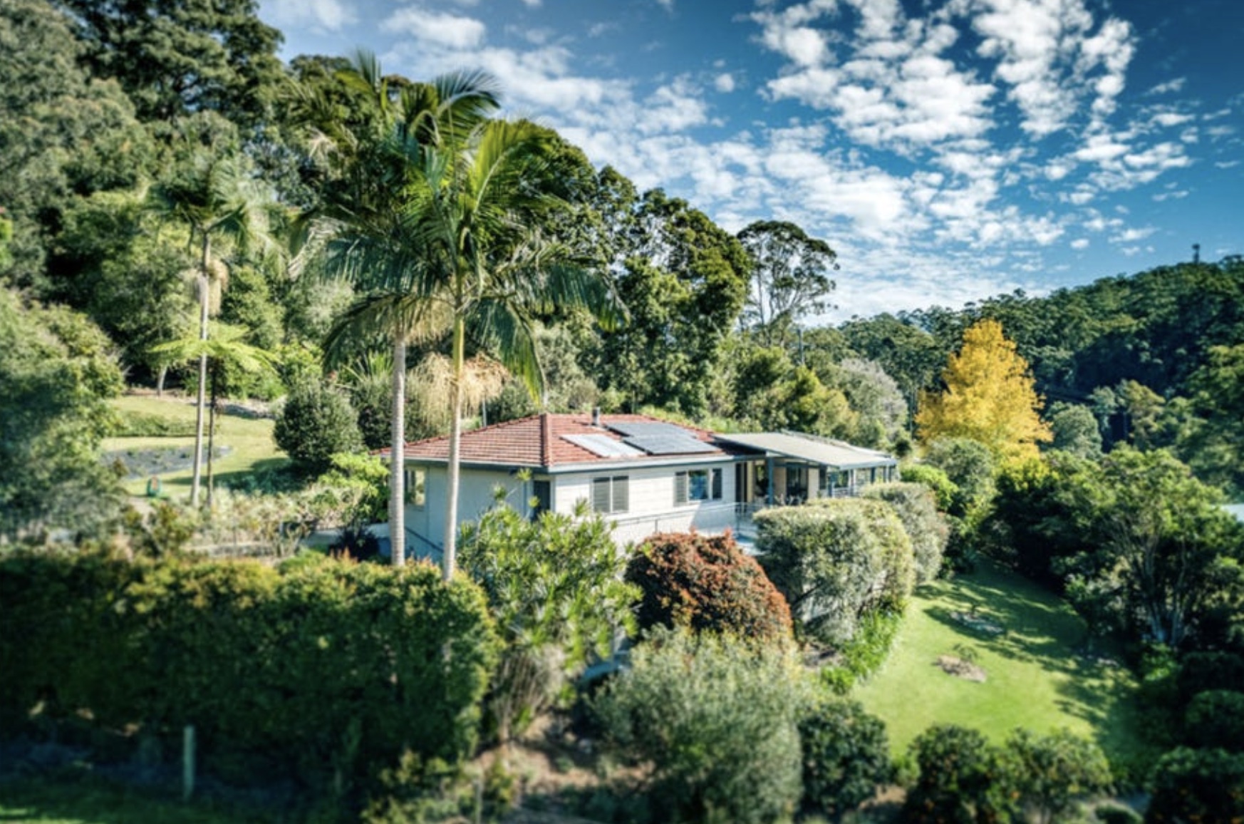 Woodland retreat in Bellingen