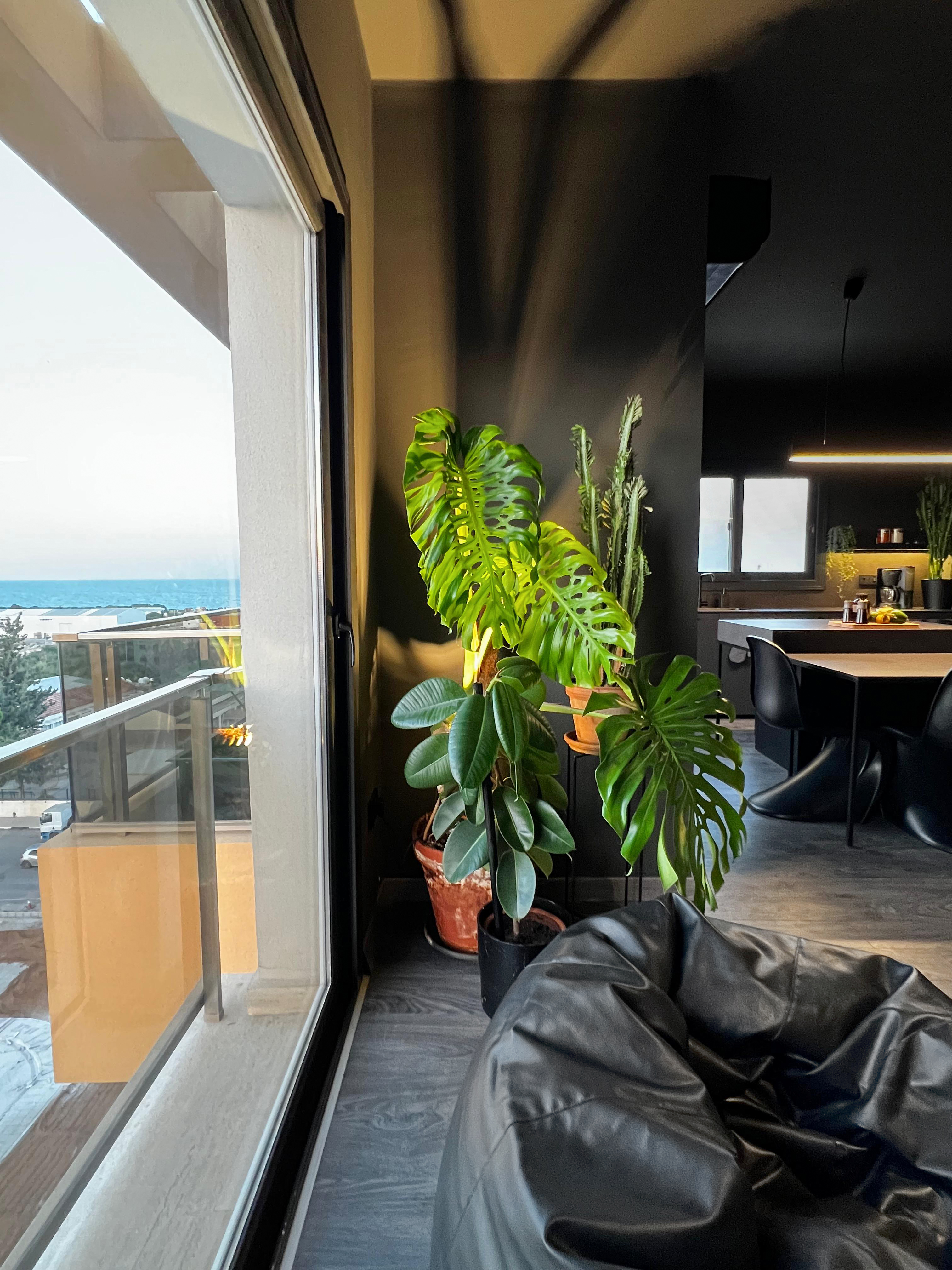 Sea & City View Apartment