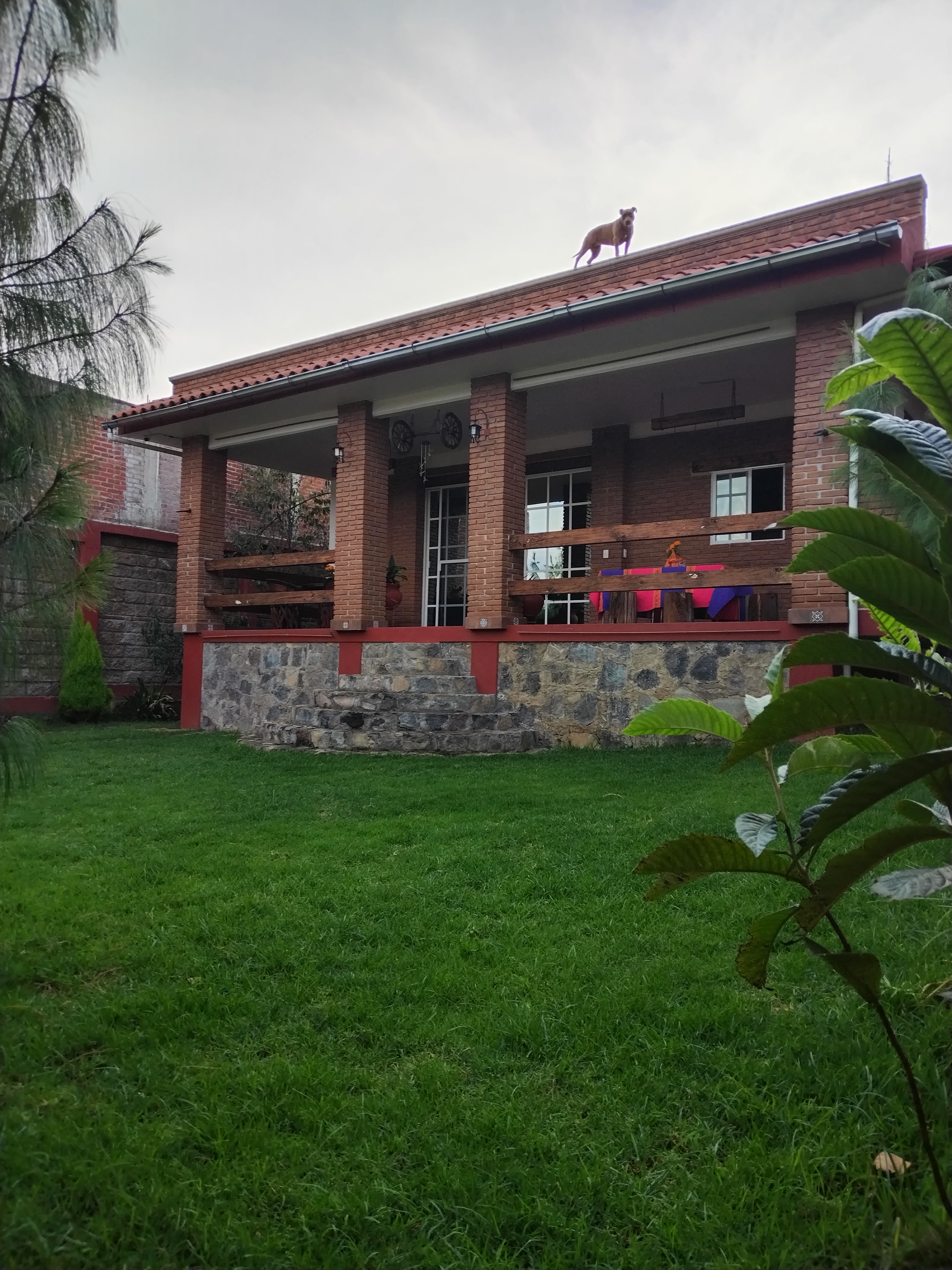 Casa 